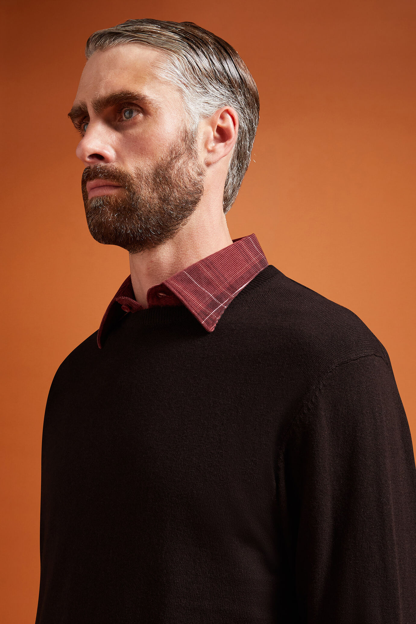 Herren-Pullover mit Rundhalsausschnitt aus Baumwolle in normaler Passform image number 3