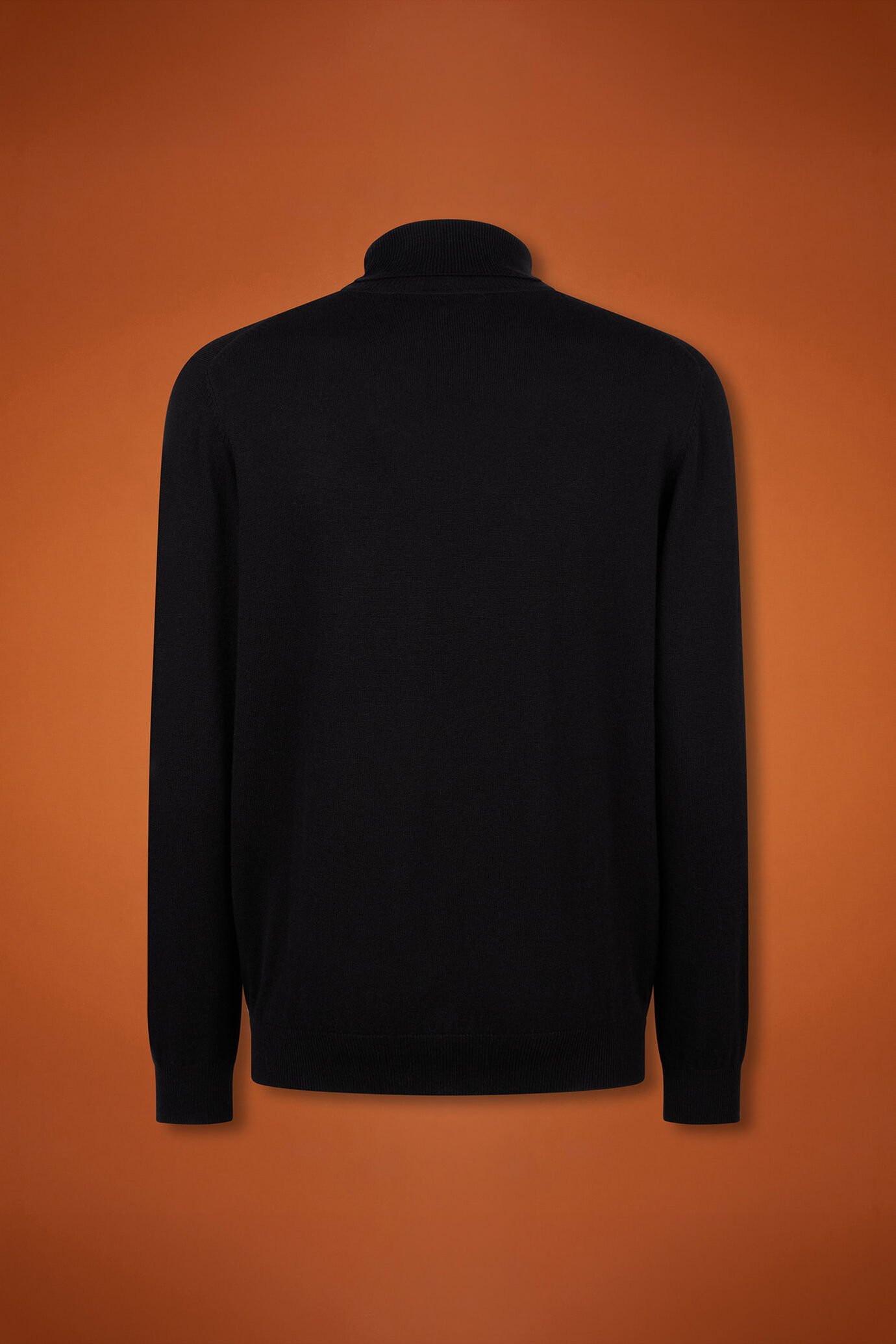Pull homme à col montant, en laine et coton, coupe classique image number 5