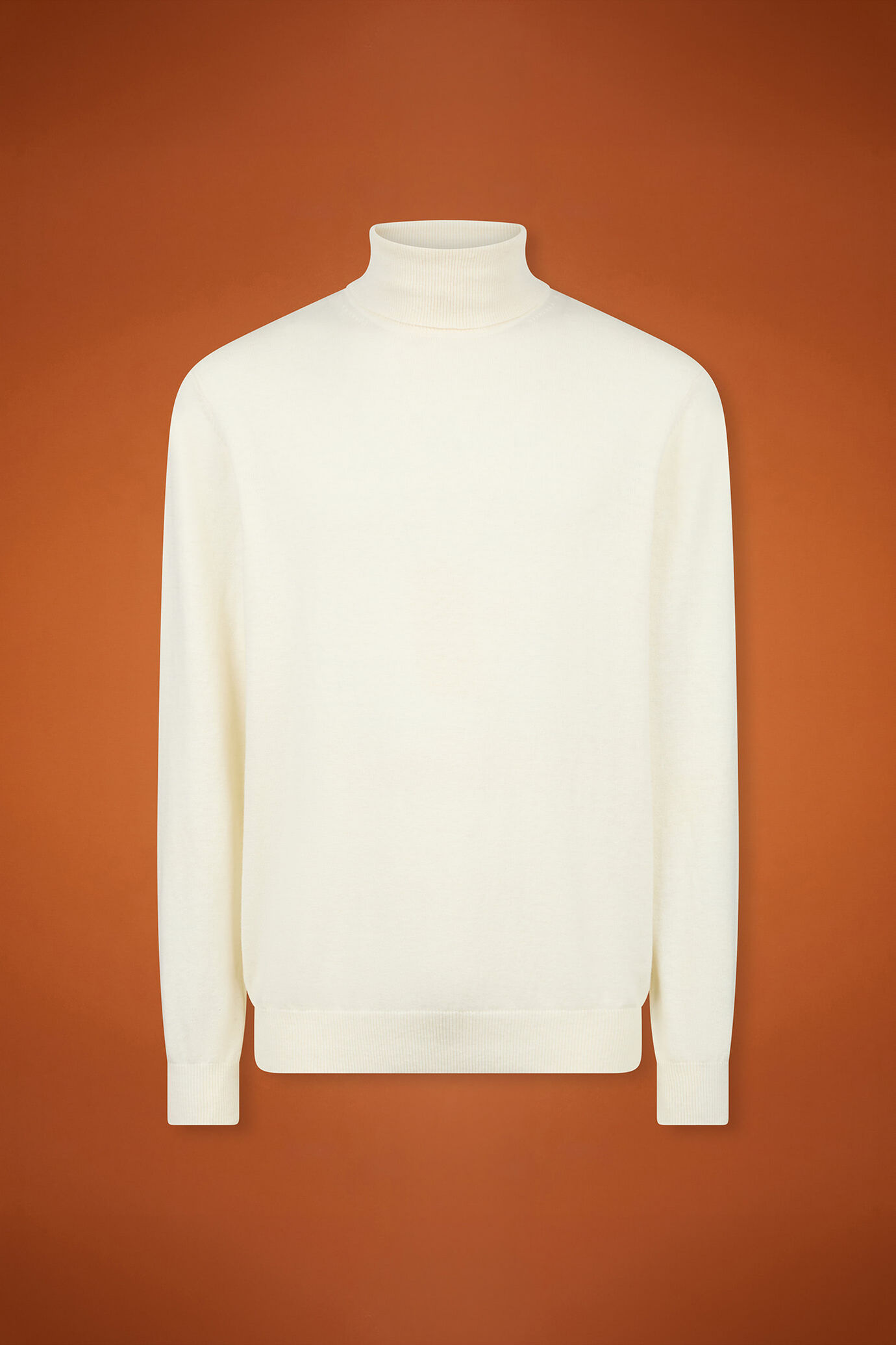 Pull homme à col montant, en laine et coton, coupe classique image number 4