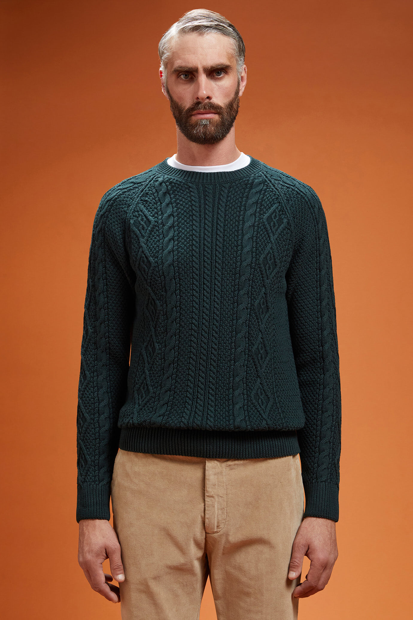 Herren-Rundhalspullover mit Zopfstrick aus 100 % Baumwolle in normaler Passform image number 0