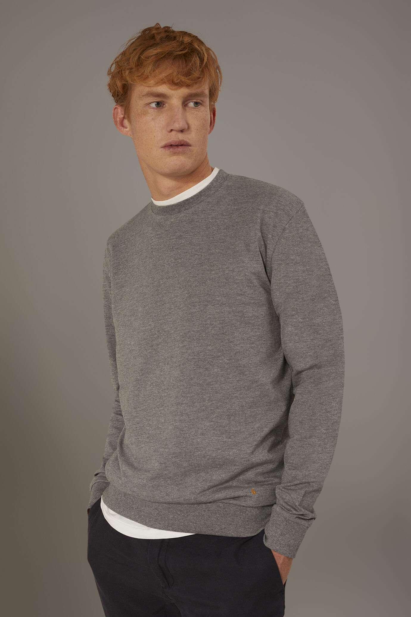Pull col rond 100% coton image number 1
