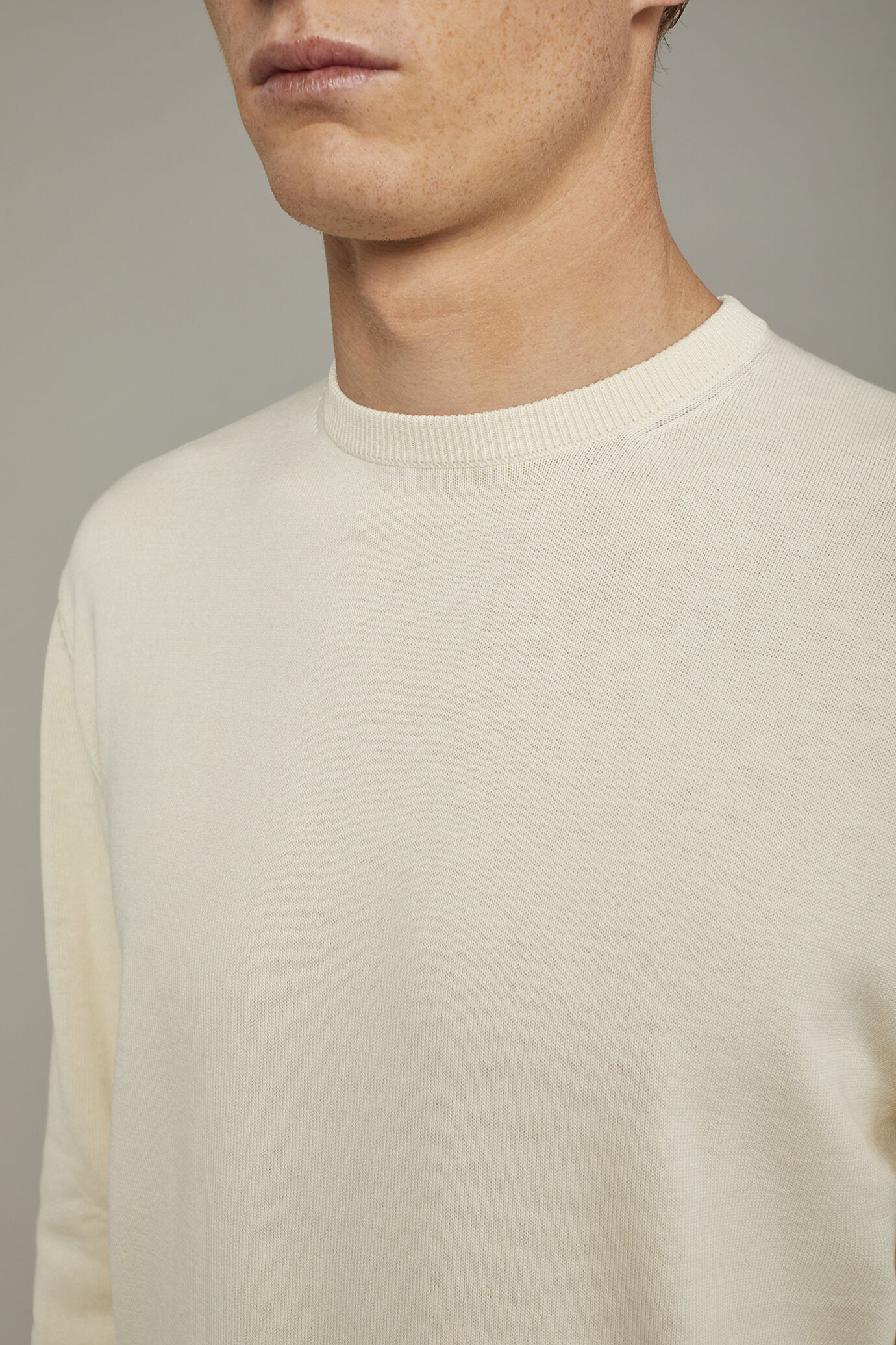 Men's Round neck sweater 100% cotton regular fit image number 3