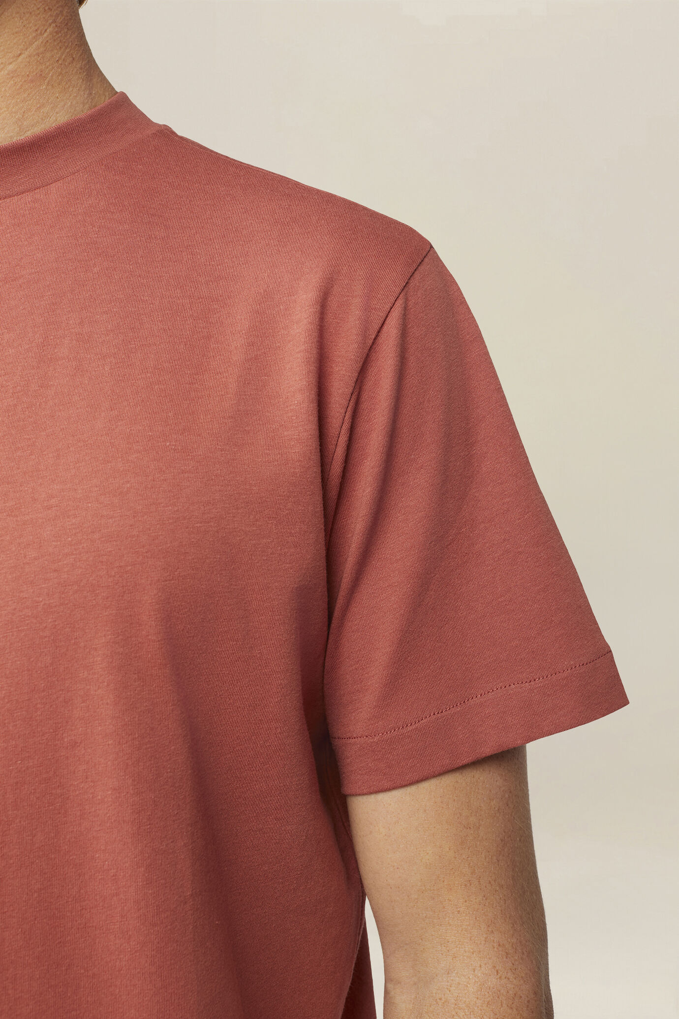 Men's T-shirt in 100% cotton jersey with slightly high neck image number 2