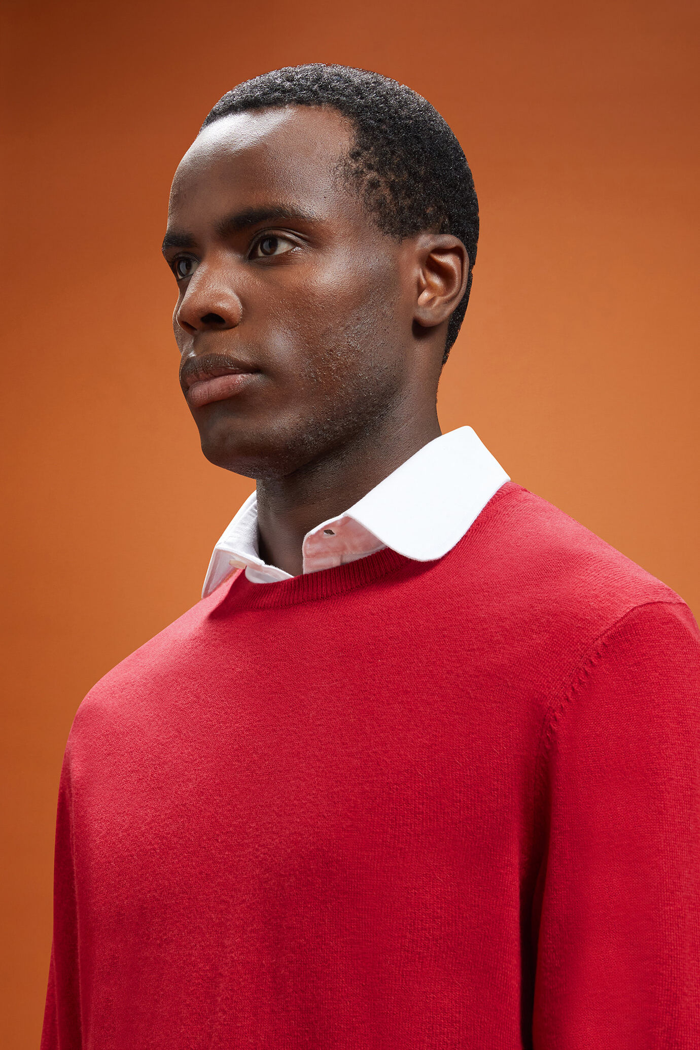 Pull homme à col rond, en laine et coton, coupe classique image number 3