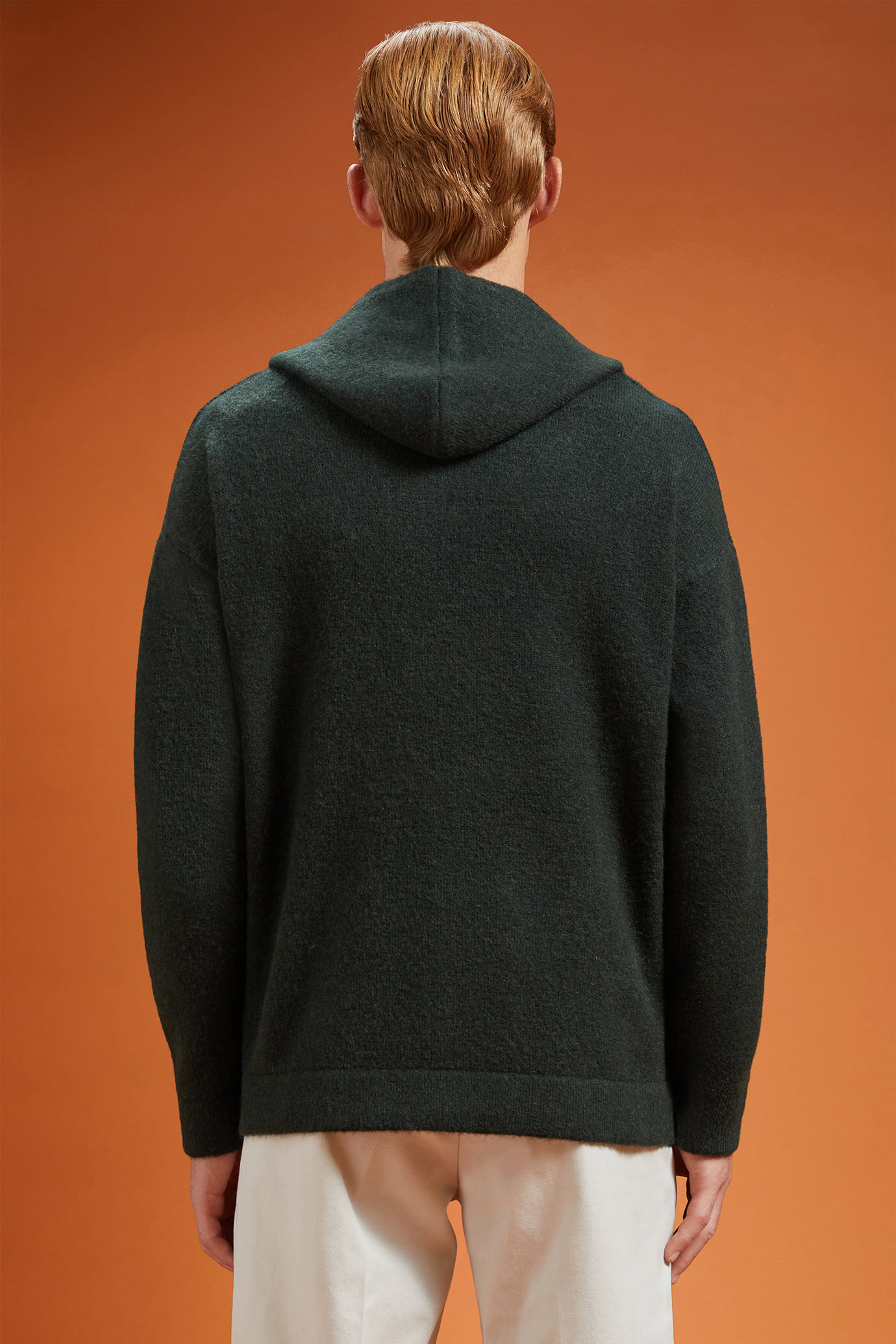 Maglia uomo con cappuccio Wool Blend regular fit image number 1
