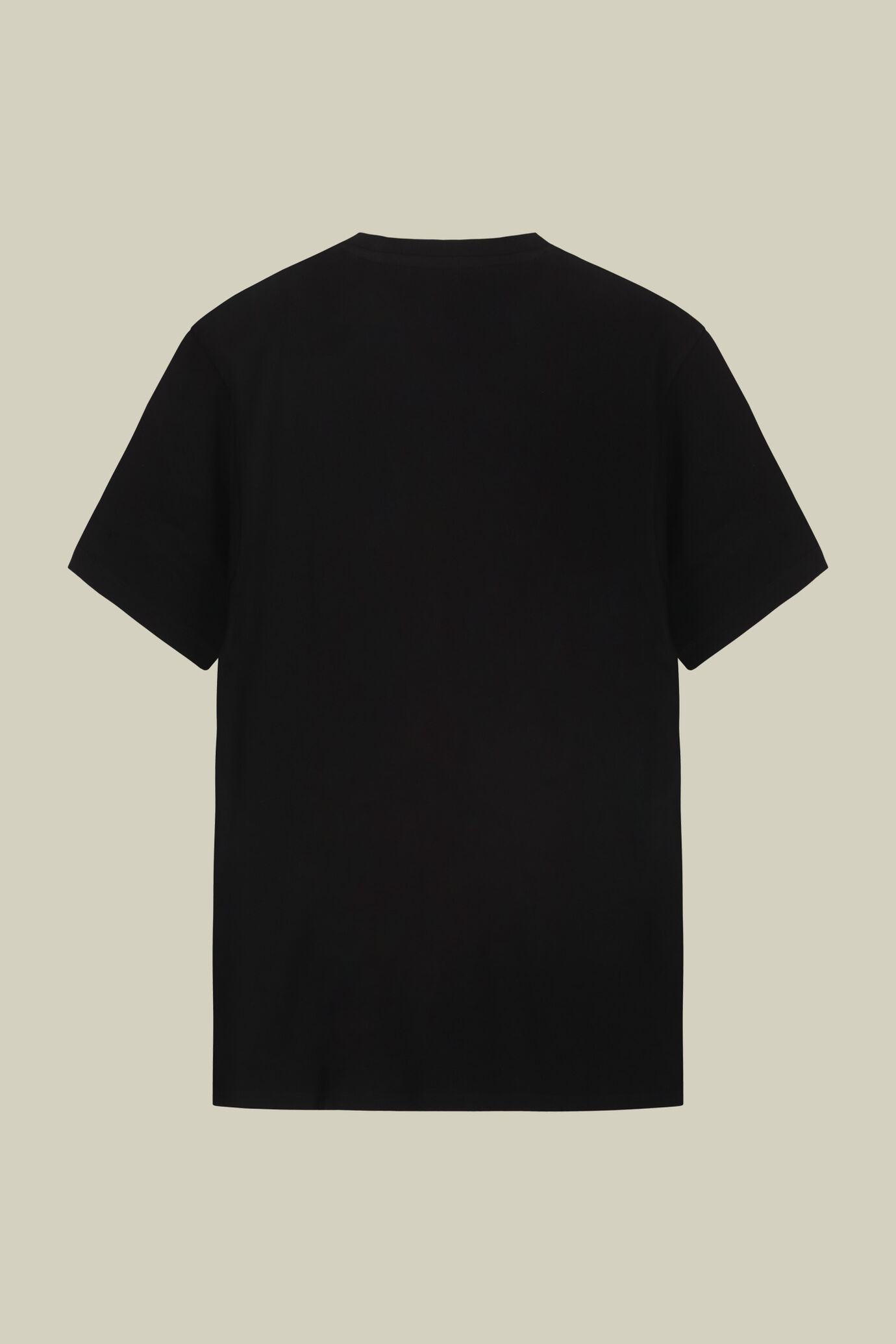 Men's round neck T-shirt in 100% cotton regular fit image number 5
