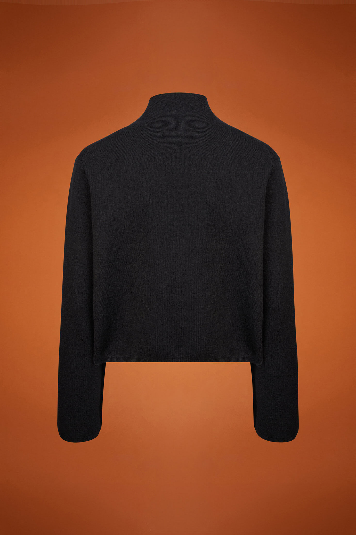 Maglia donna a manica lunga con collo a vulcano regular fit image number 6