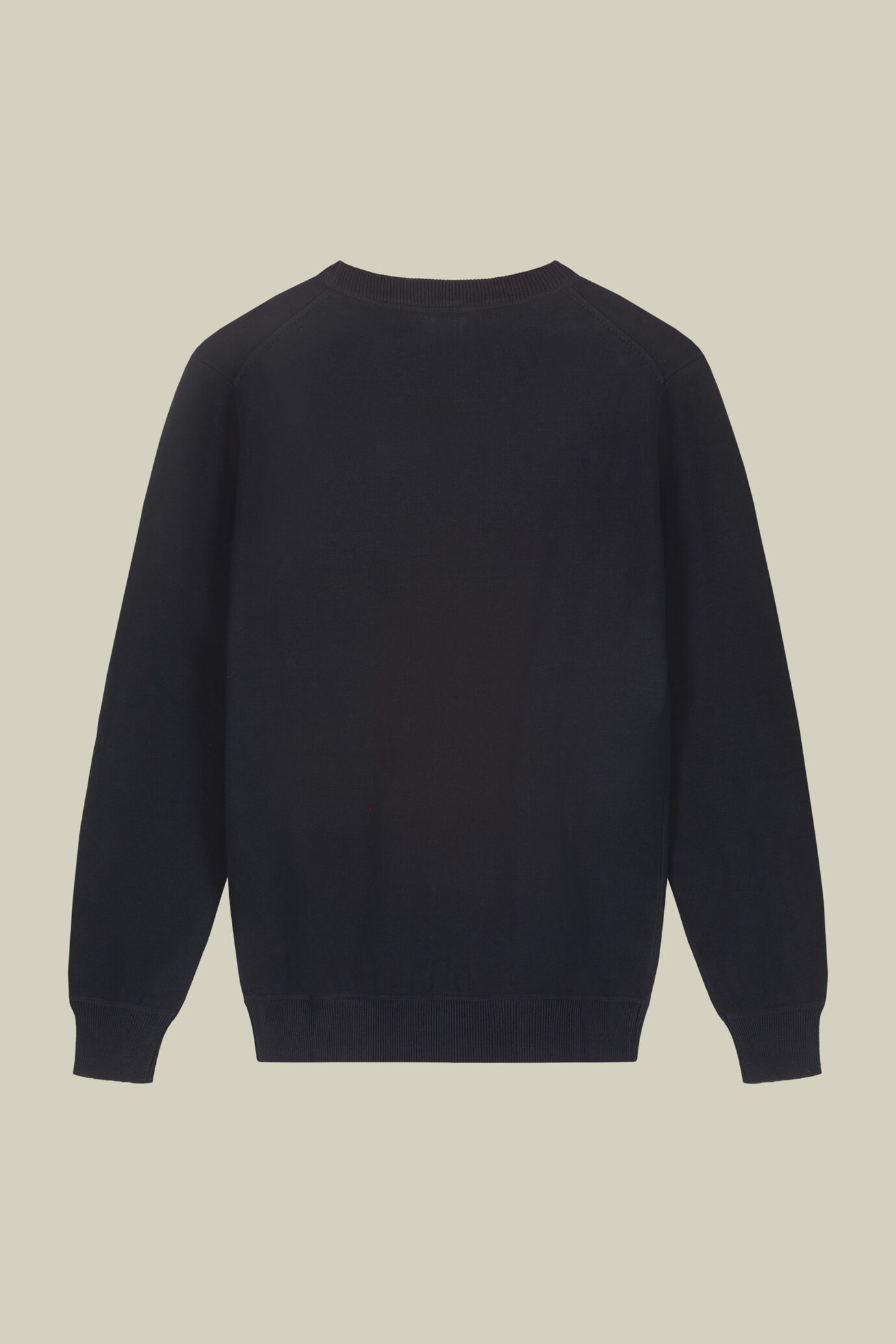 Maglia uomo girocollo 100% cotone regular fit image number 5