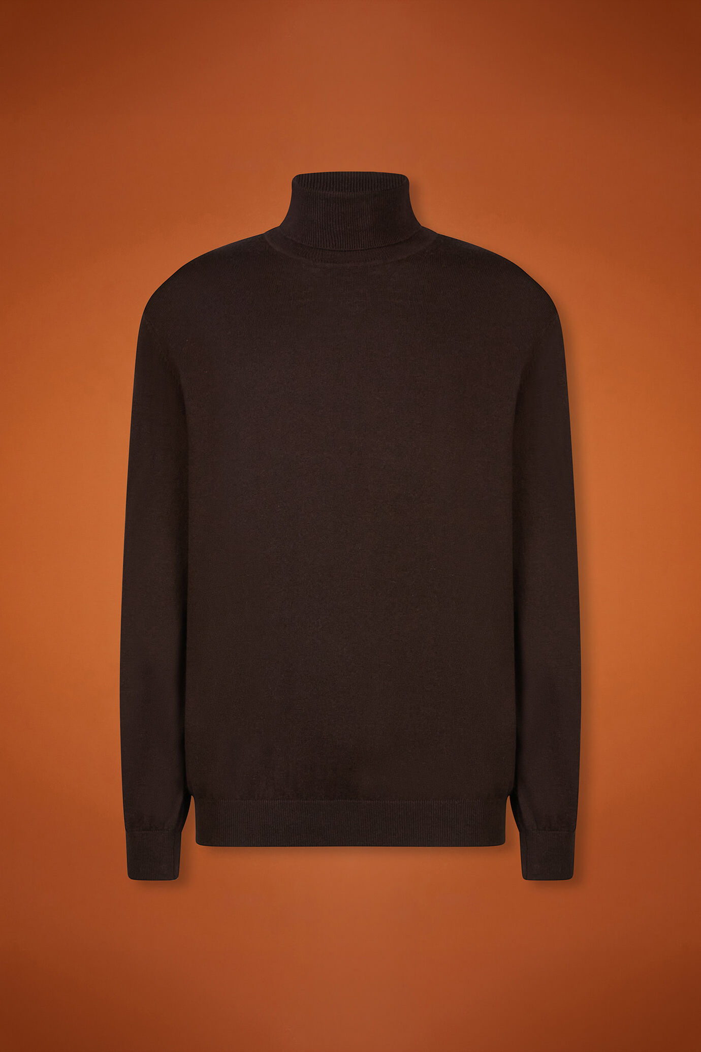 Men's regular fit turtleneck jumper in wool and cotton image number 4