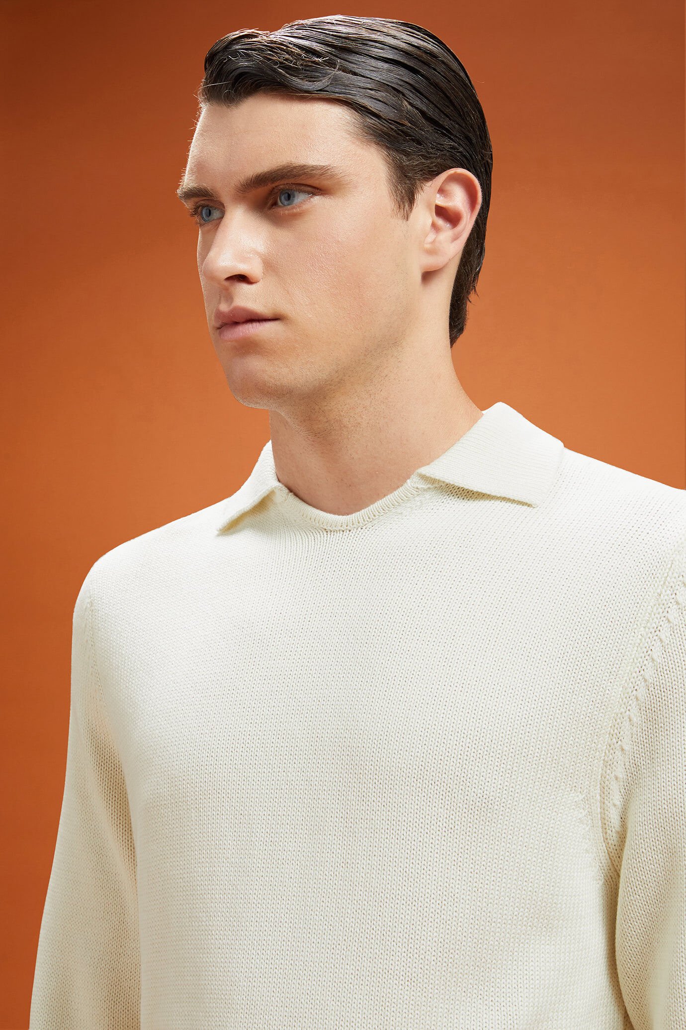 Herren-Pullover mit Derby-Kragen aus englischem Rippstrick in normaler Passform image number 3