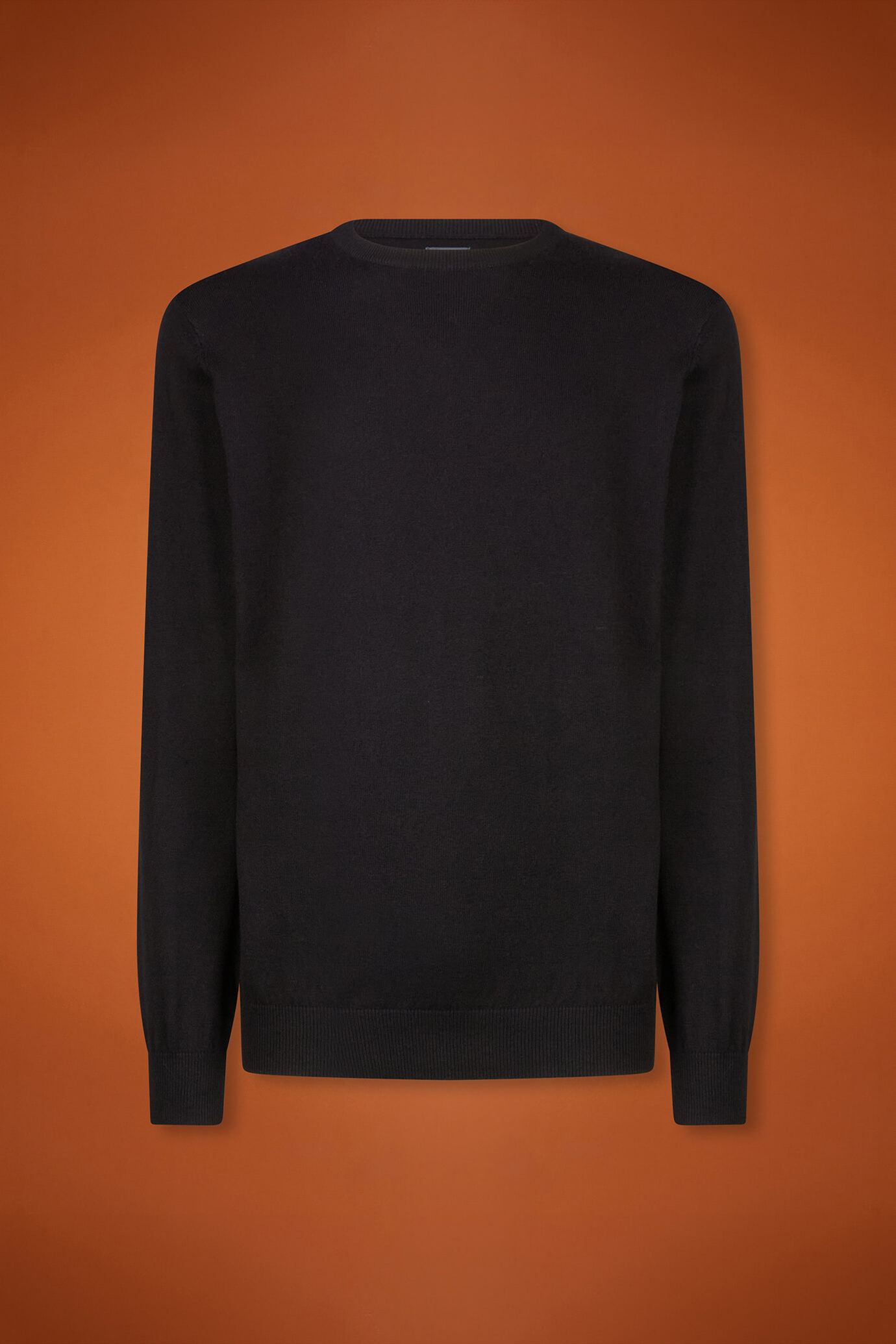 Men's regular fit crew neck jumper in wool and cotton