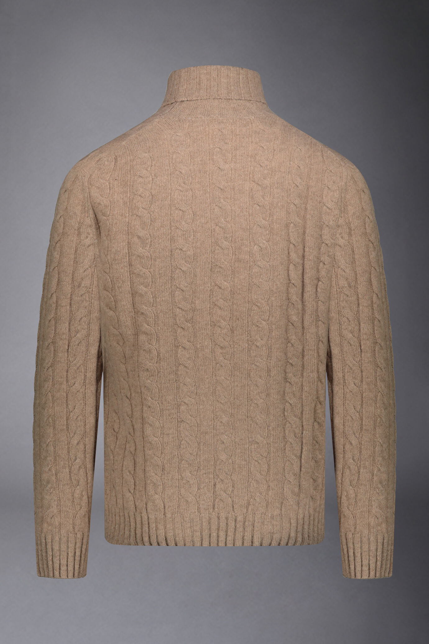 Pull à col roulé en laine d'agneau mélangée regular fit image number 5