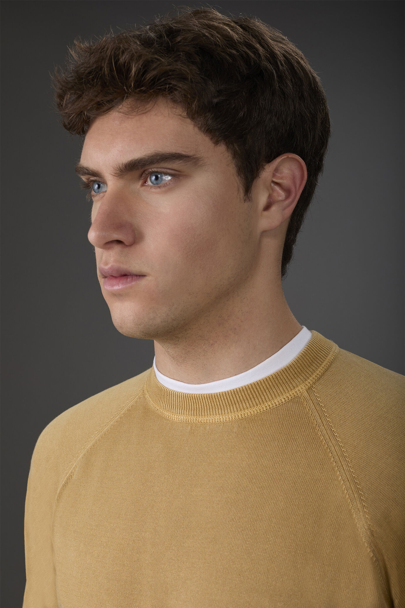 Maglia uomo girocollo 100% cotone con maniche raglan image number 2