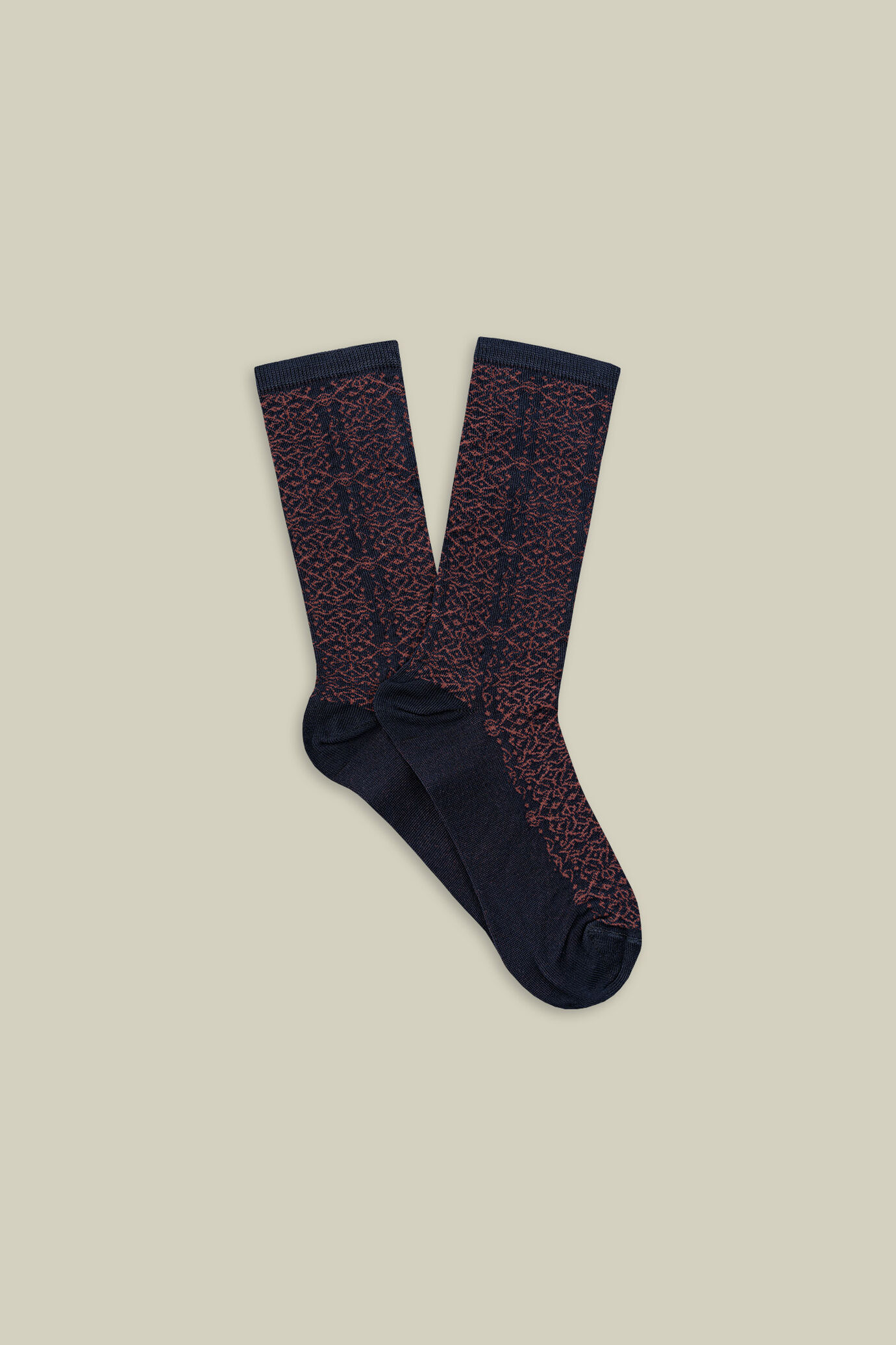 Chaussettes pour femme à motif en dentelle image number 0