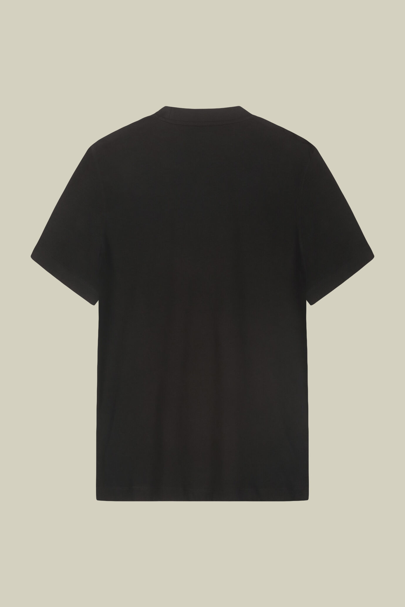 Men's T-shirt in 100% cotton jersey with slightly high neck image number 5