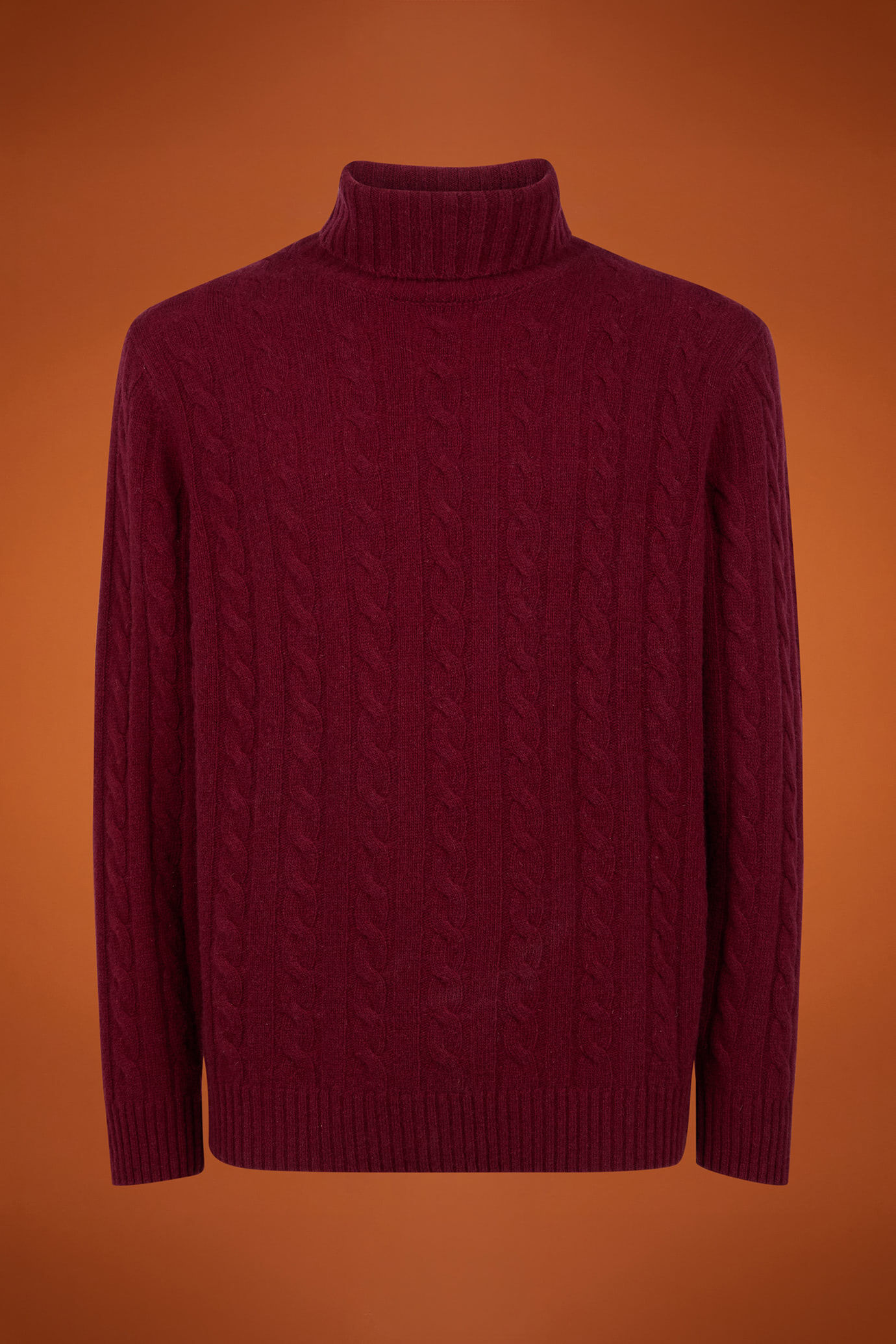 Pull homme à col roulé en laine d'agneau, coupe classique image number 4