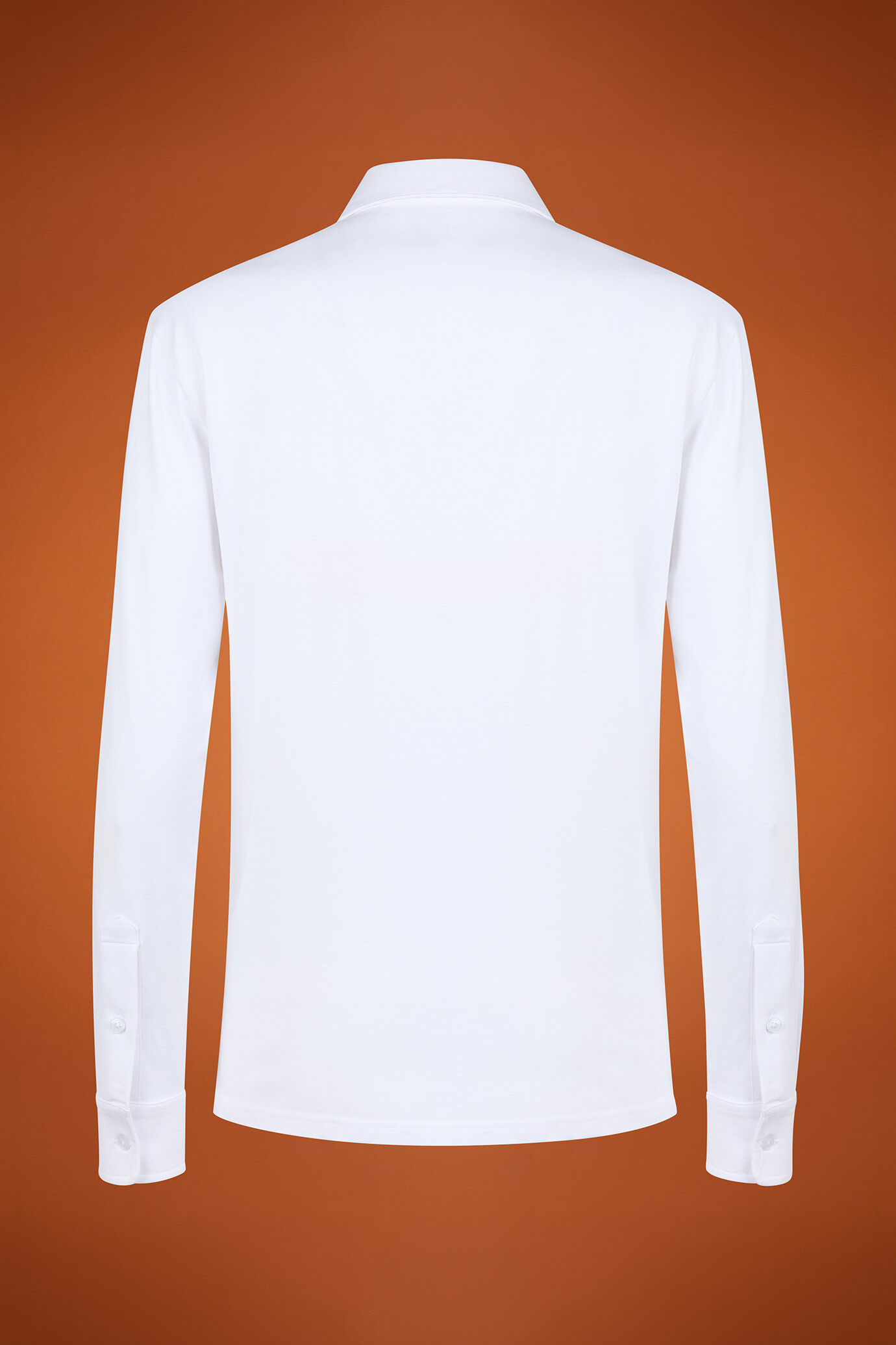 Langärmeliges Herren-Poloshirt mit klassischem Kragen aus 100 % Baumwolle in normaler Passform image number 5