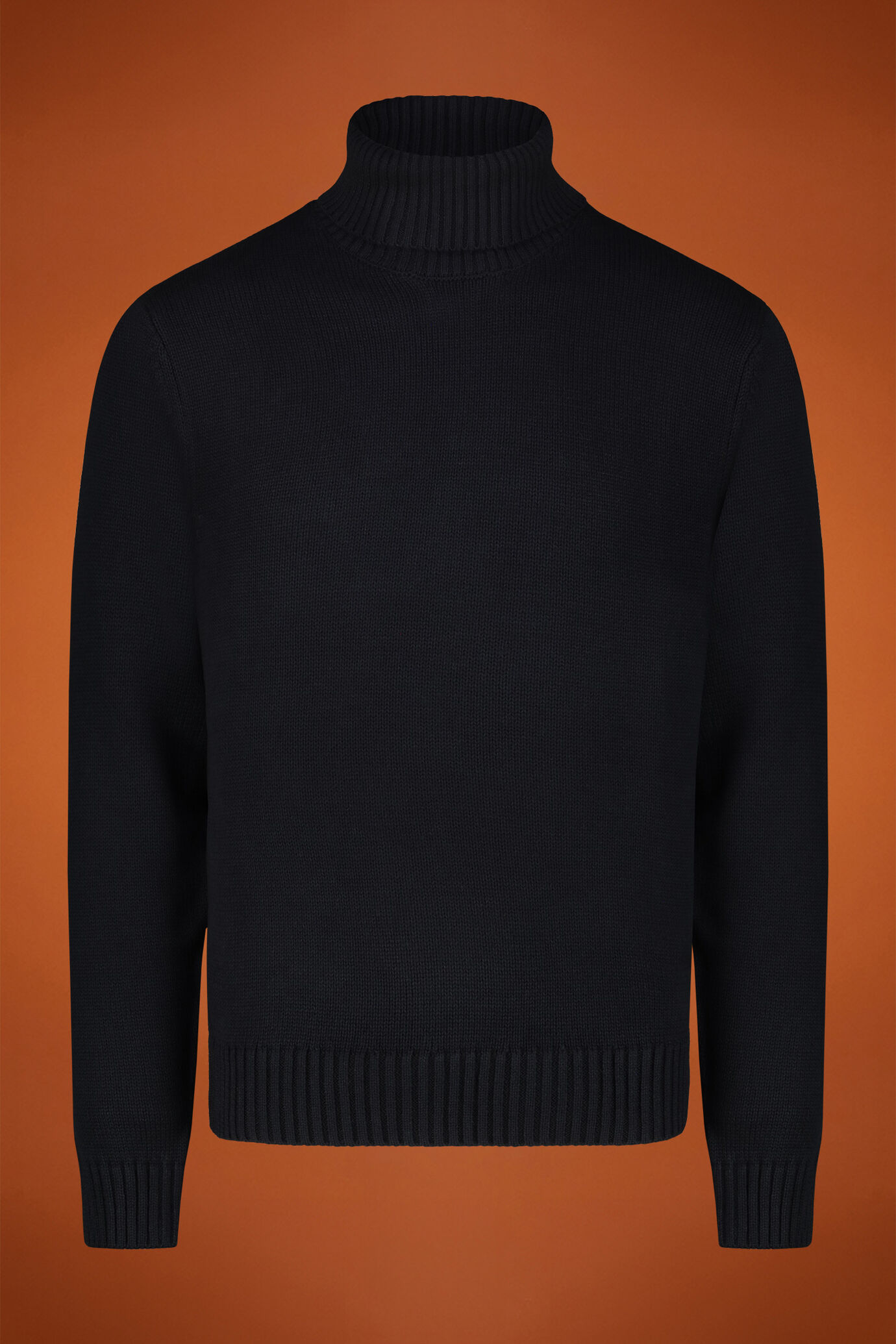 Herren-Rollkragenpullover aus englischem Rippstrick in normaler Passform image number 0