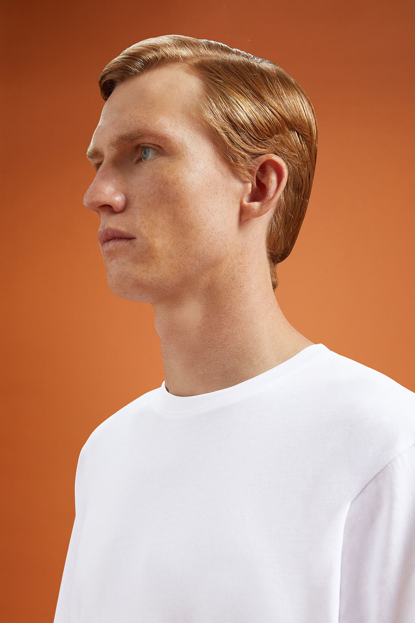 Men's 100% cotton crew neck T-shirt with short sleeves in a regular fit image number 4