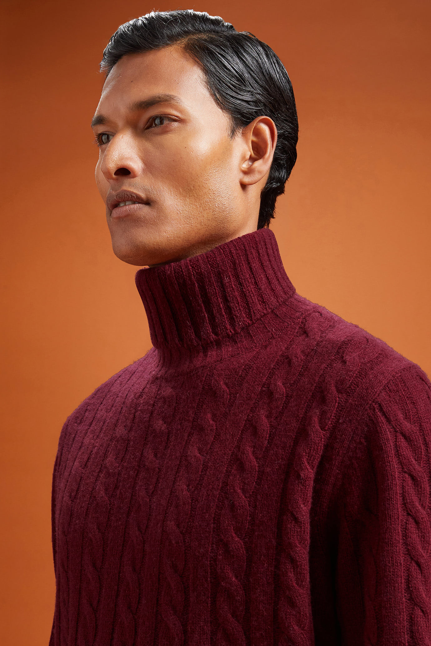 Pull homme à col roulé en laine d'agneau, coupe classique image number 2