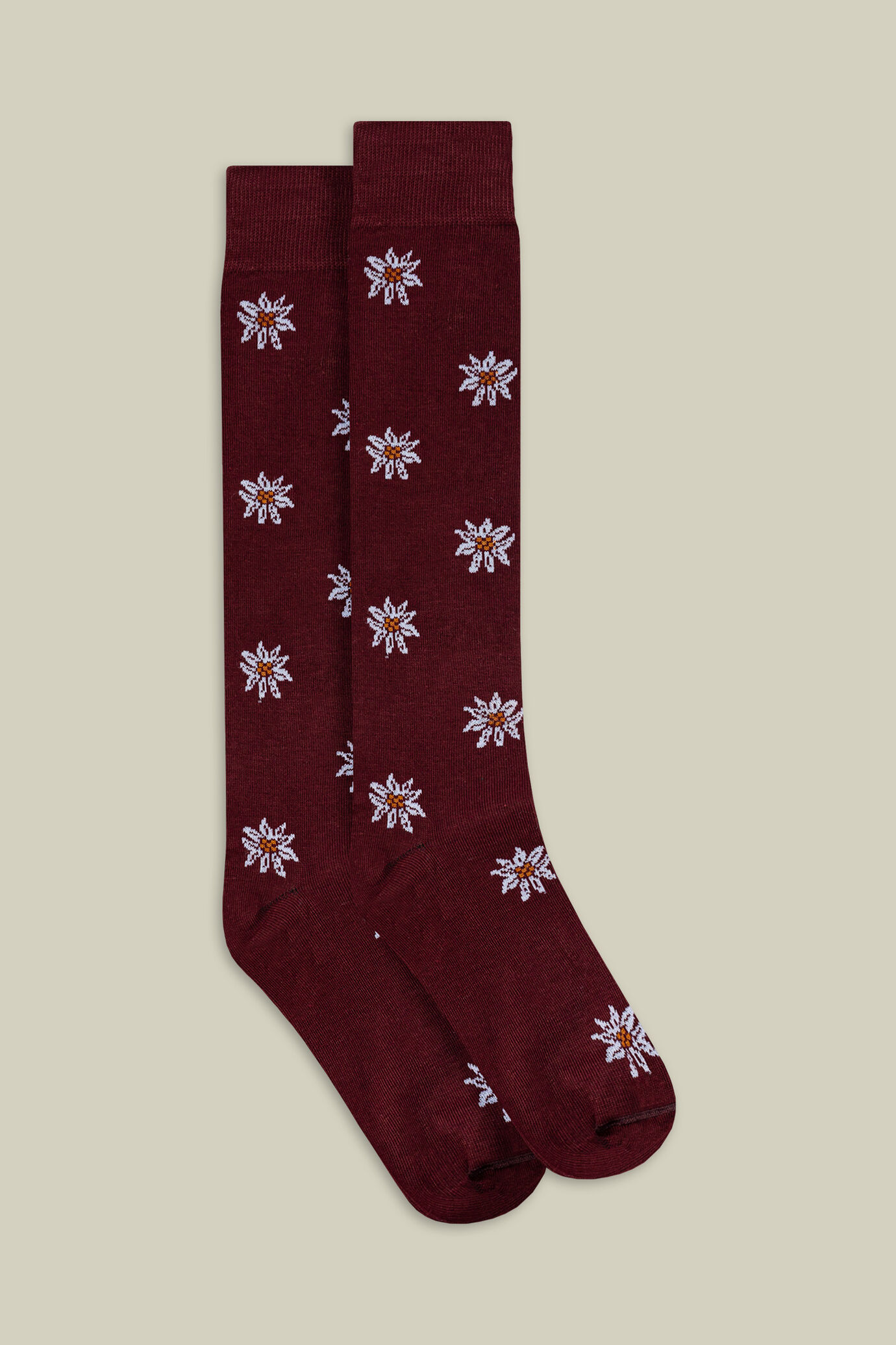 Men's Christmas socks in plain knit with mistletoe pattern image number 0