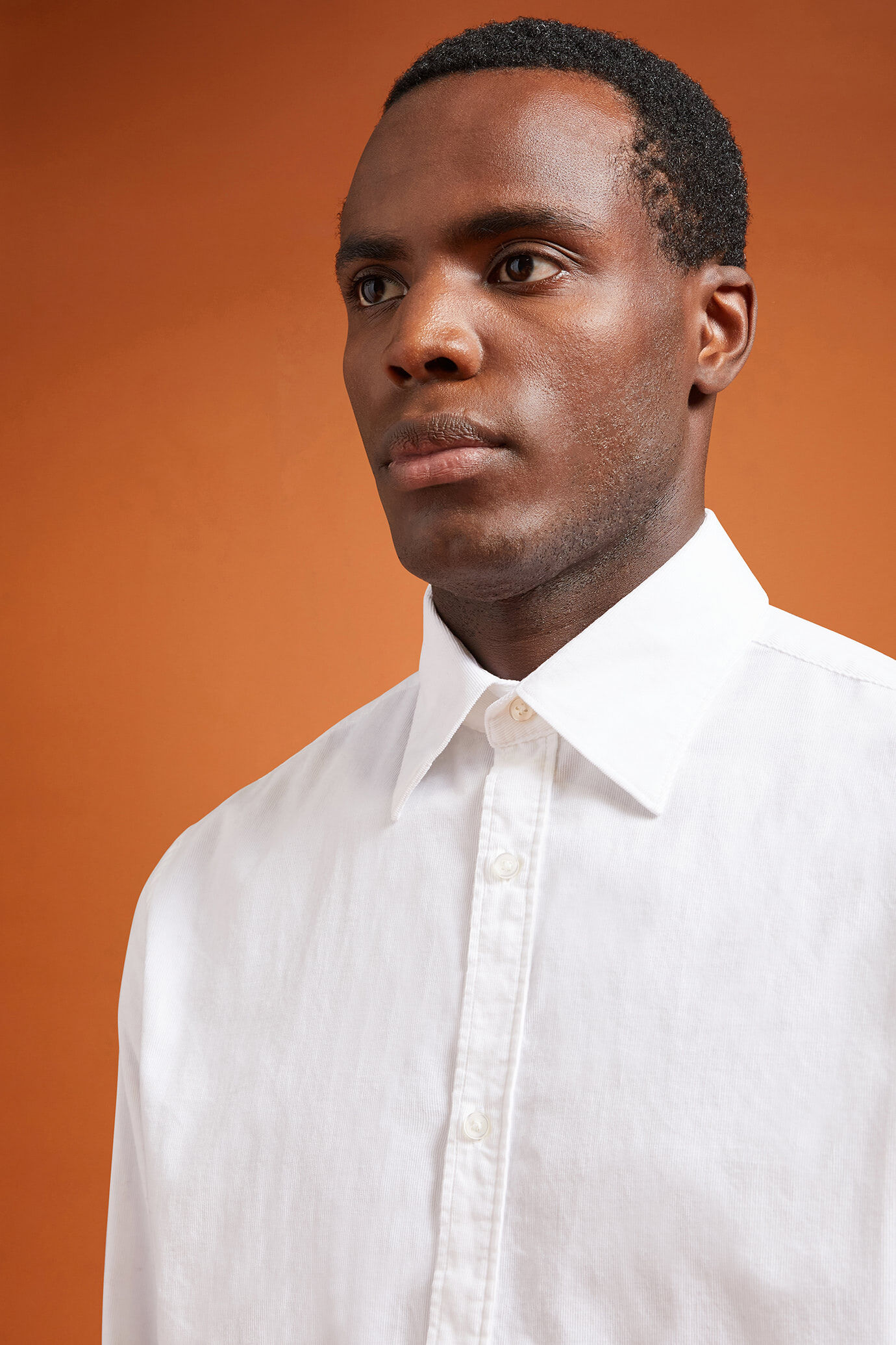 Chemise décontractée pour homme à col classique, 100% coton, tissu velours milleraies uni, coupe confort image number 3