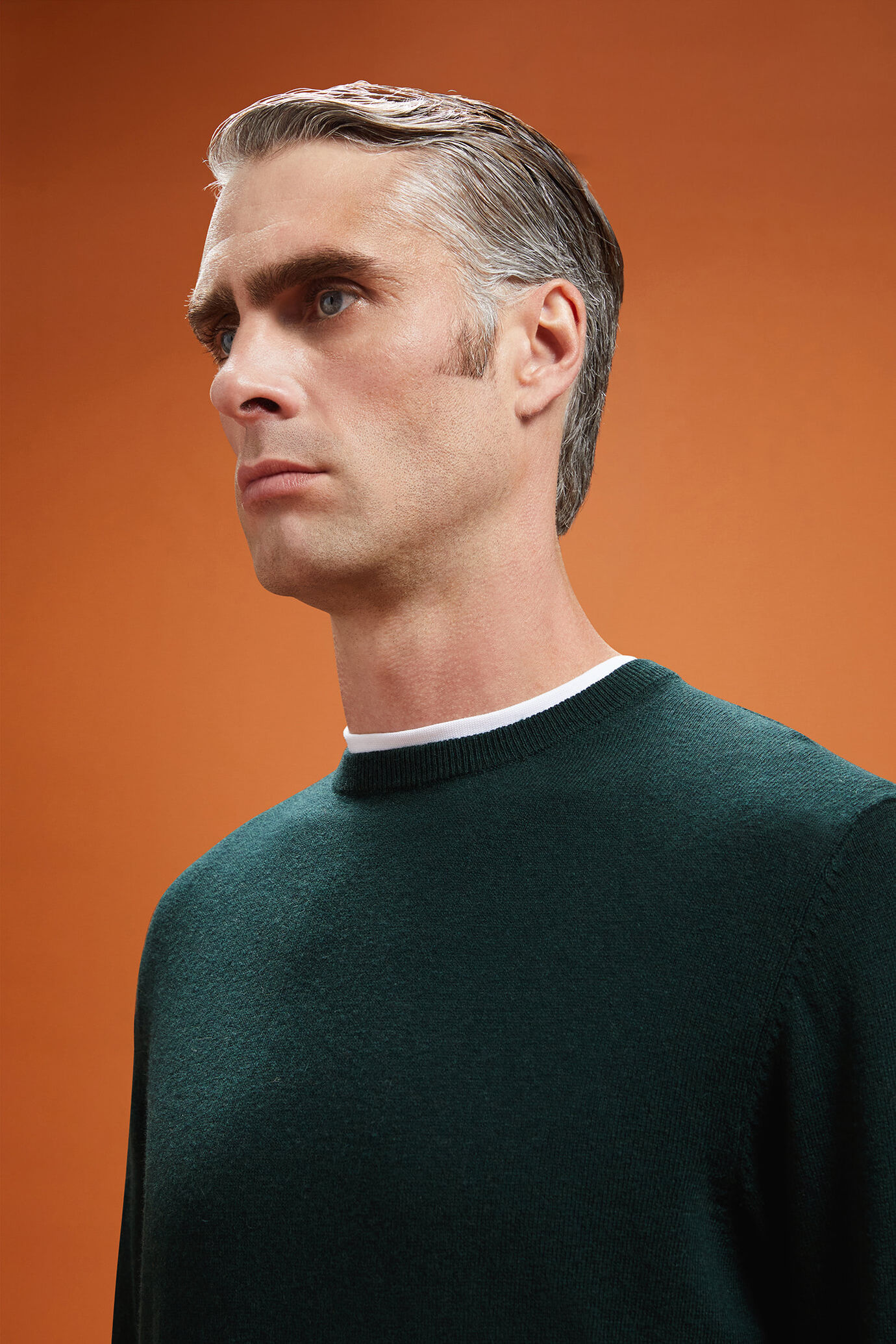 Herren-Pullover mit Rundhalsausschnitt aus Baumwolle in normaler Passform image number 3