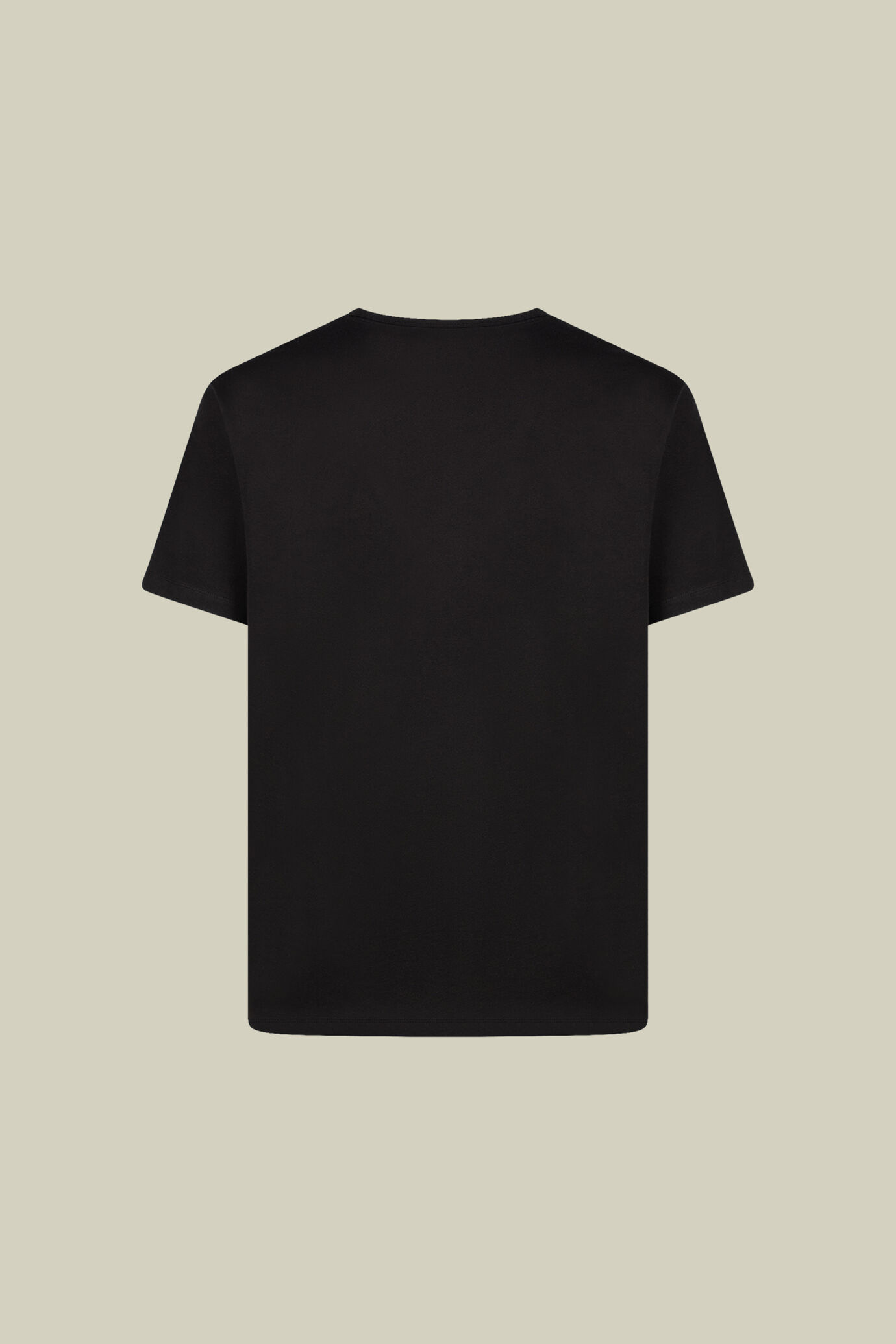 Men's regular fit short-sleeved V-neck T-shirt in 100% cotton slub