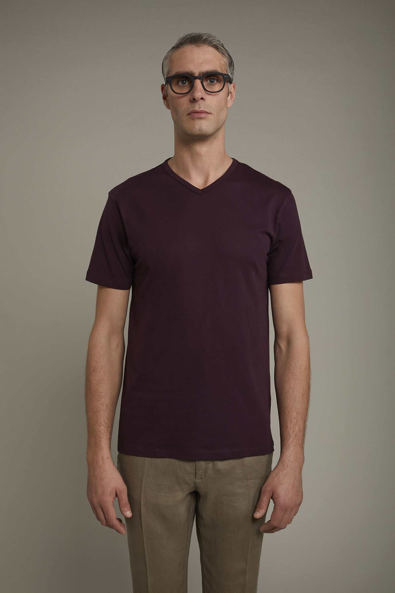 Herren-T-Shirt mit V-Ausschnitt aus 100 % Baumwolljersey in normaler Passform