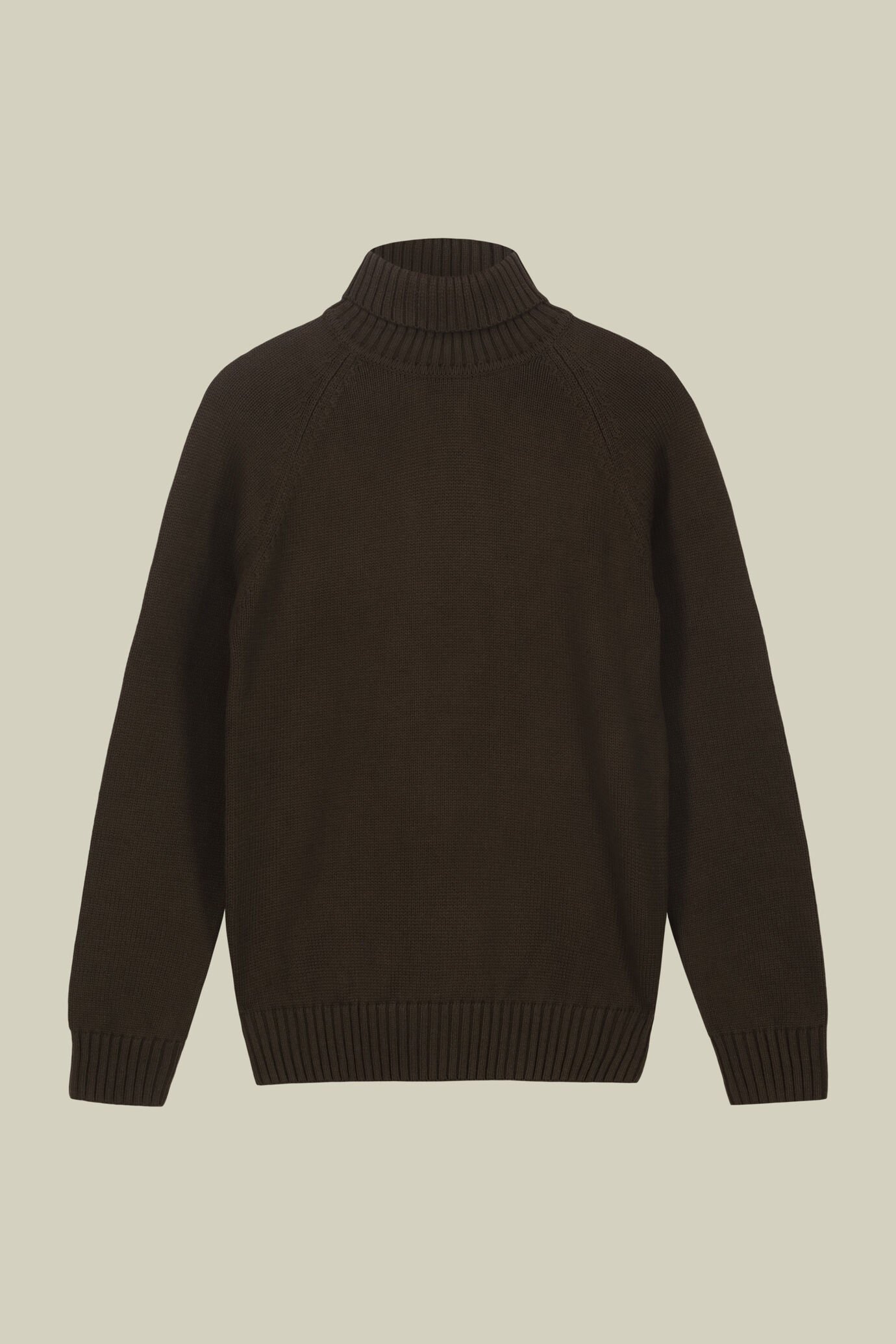 Pull à col roulé pour homme 100 % coton coupe regular fit image number 4