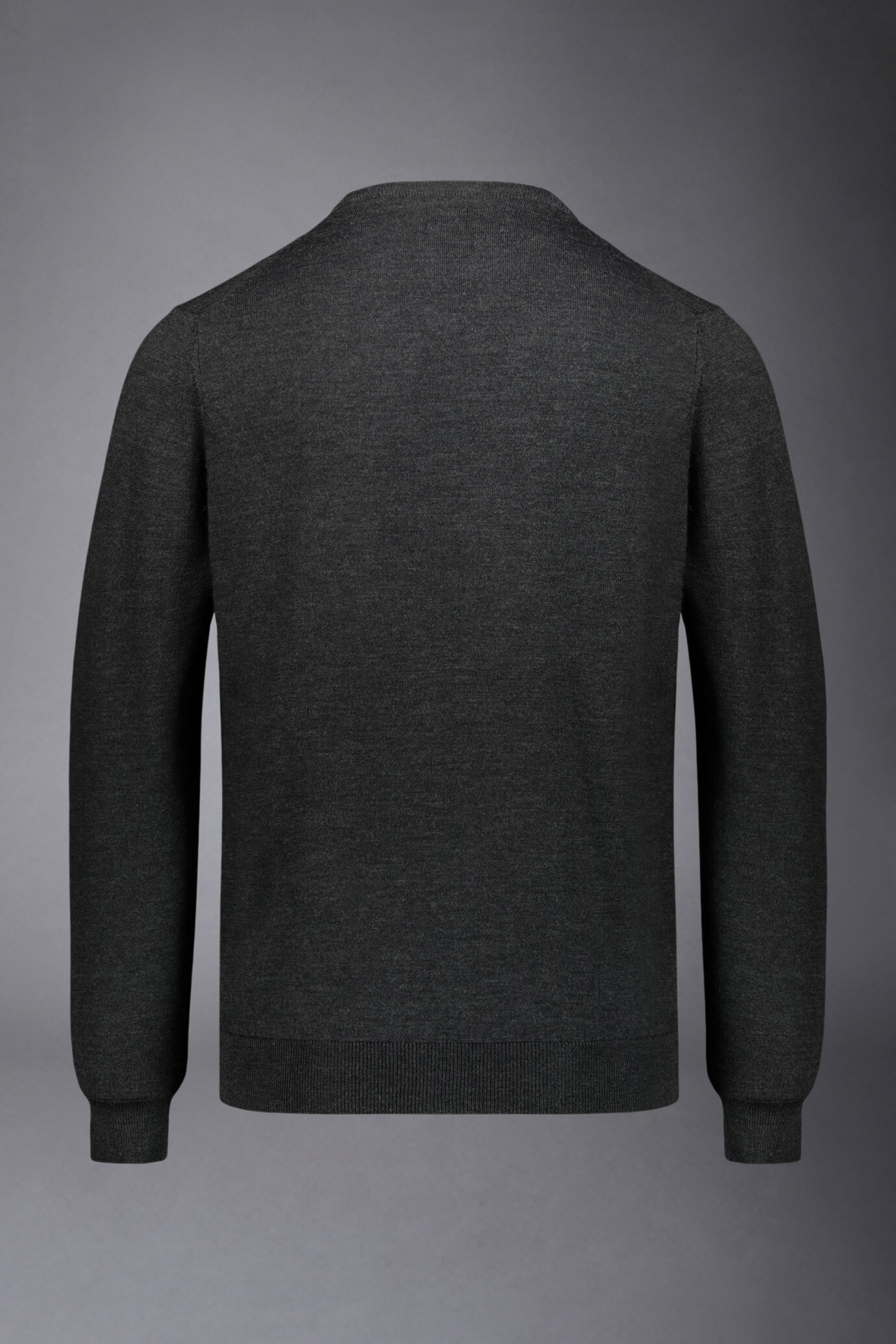 Men's roundneck sweater in 100% extra-fine merino wool lanerossi regular fit image number 4