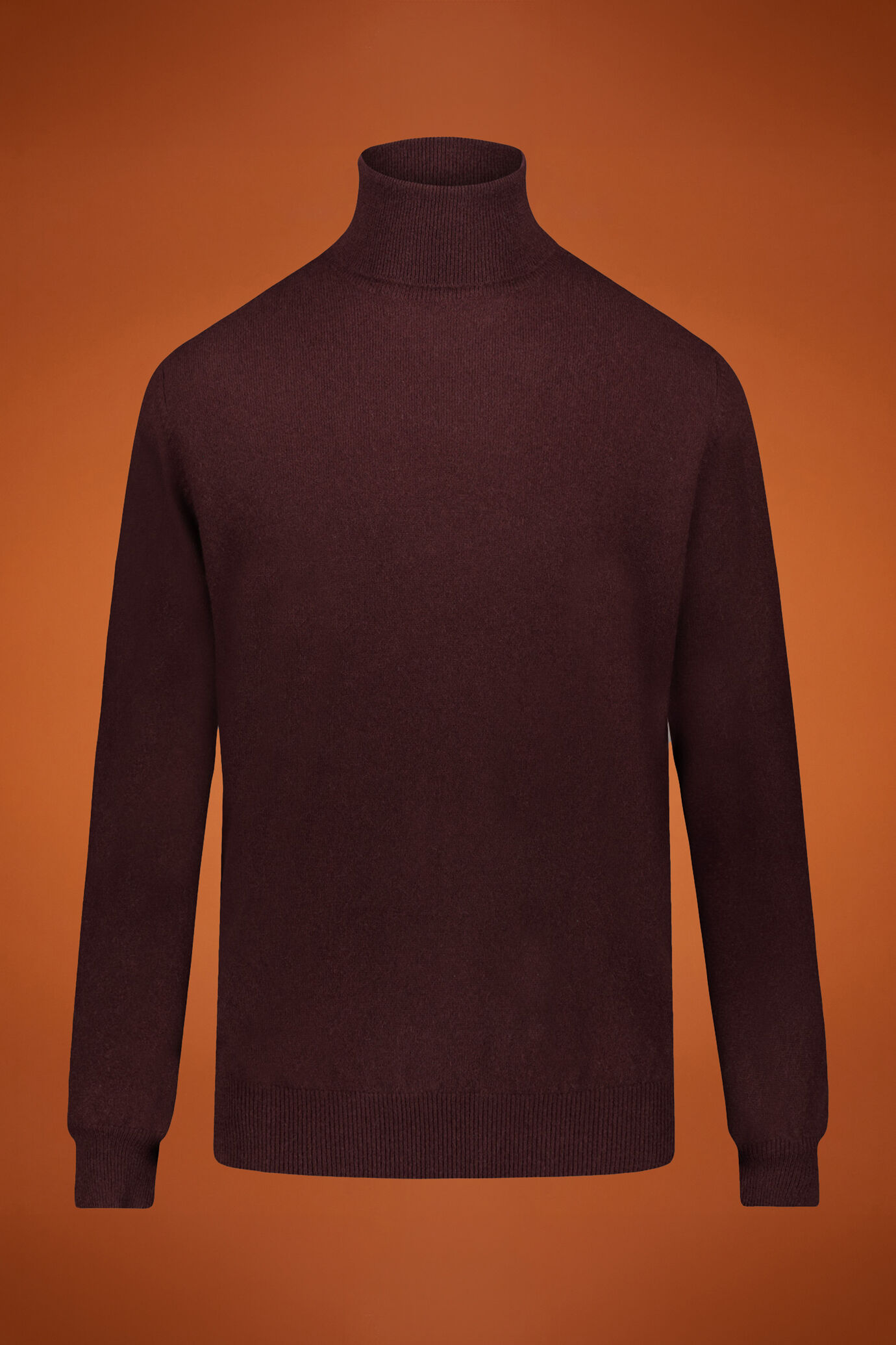 Turtleneck sweater 100% cachemire image number 0