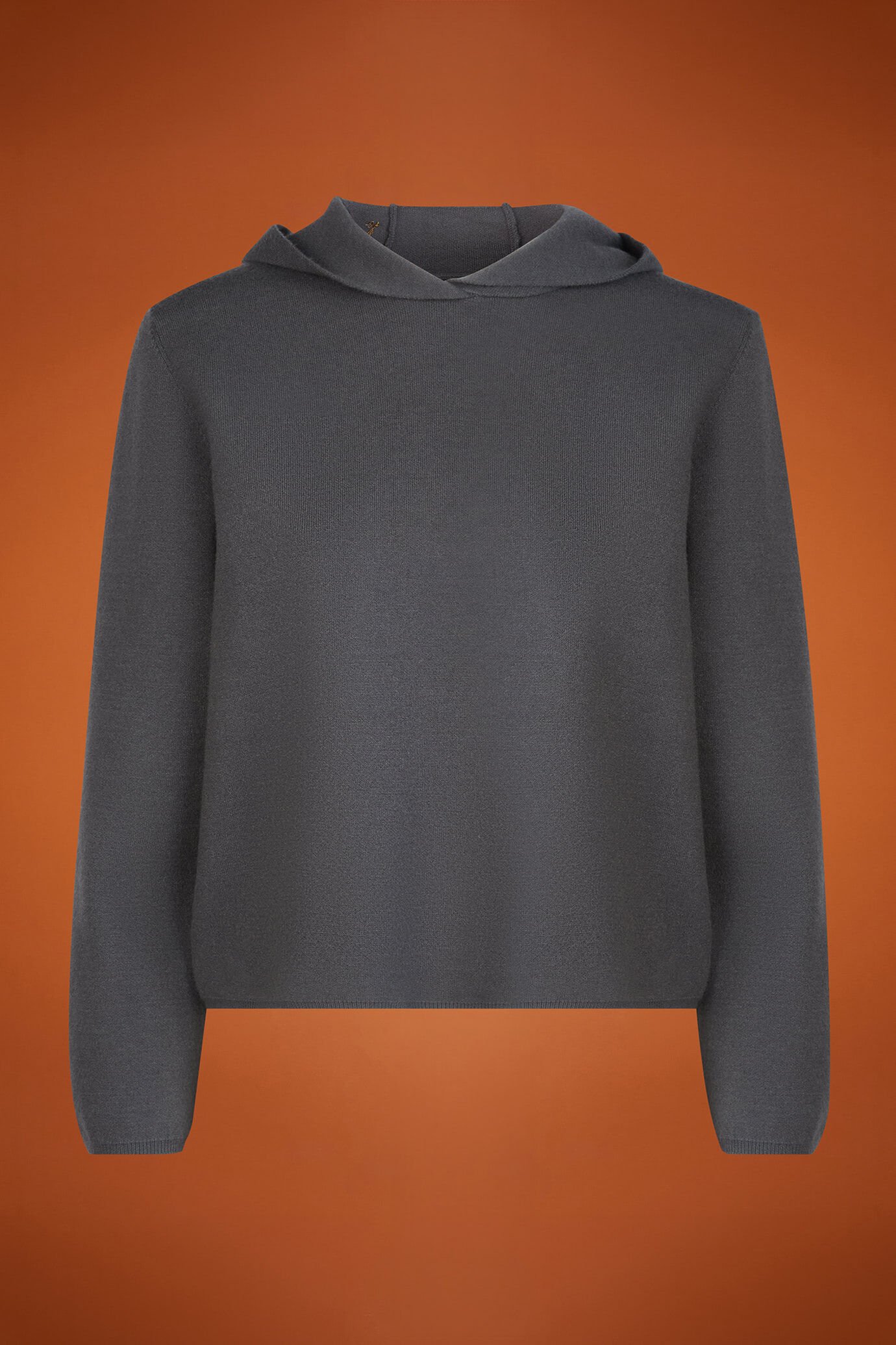 Pull pour femme uni avec capuche et logo brodé, coupe classique