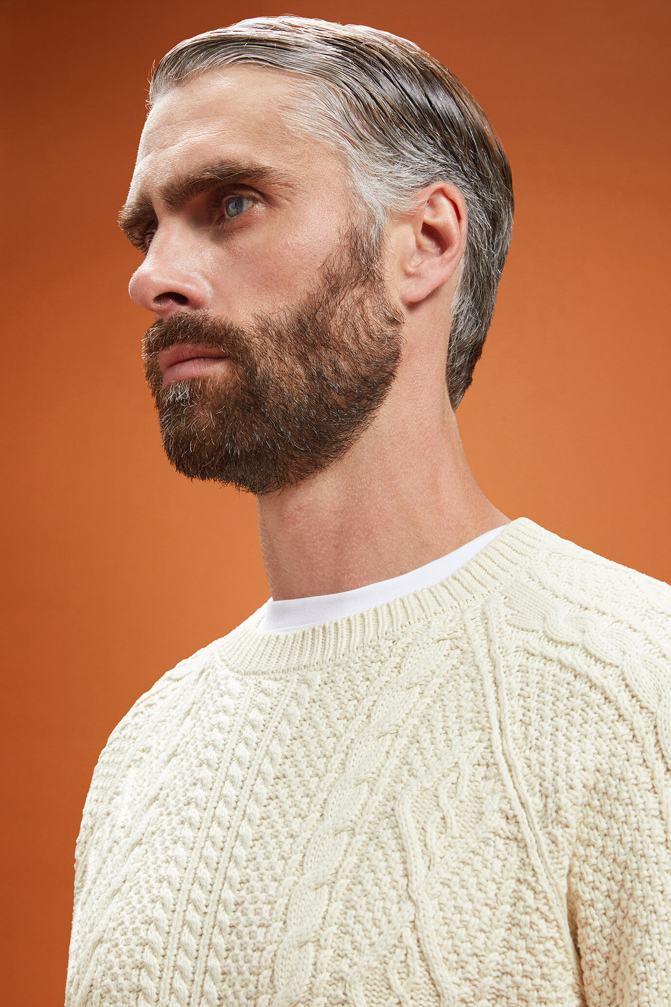 Pull homme à col rond, 100% coton, ouvrage tissé, coupe classique image number 3