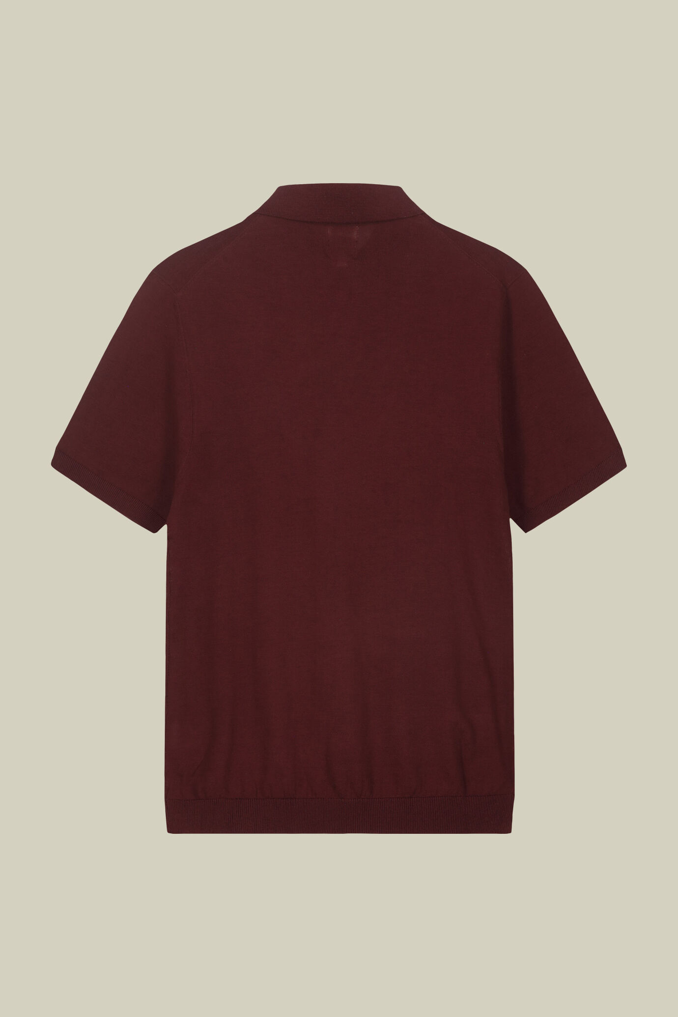 Polo uomo a maglia in 100% cotone regular fit image number 5