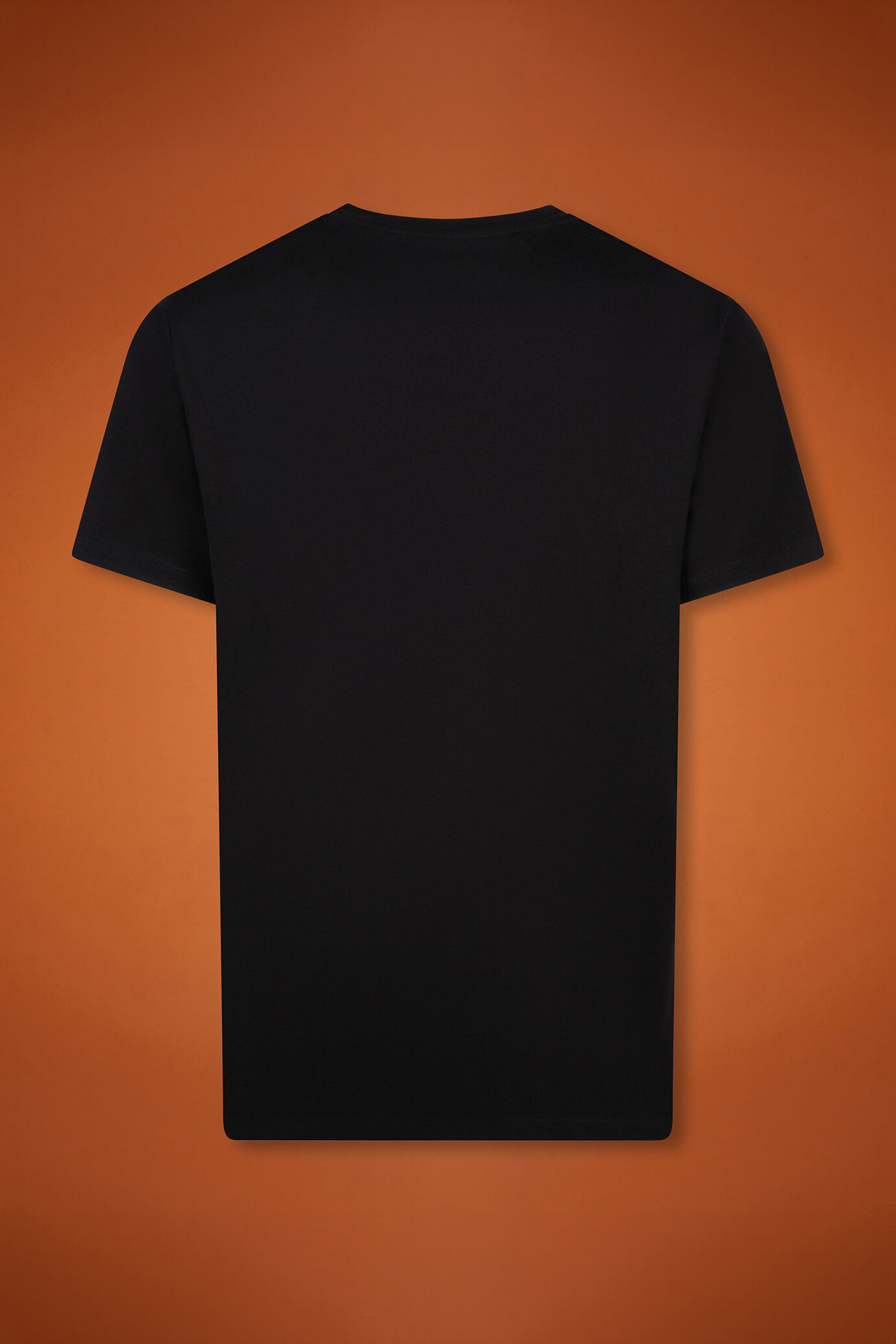 Herren-T-Shirt mit Rundhalsausschnitt und kurzen Ärmeln aus 100 % Baumwolle in normaler Passform image number 6