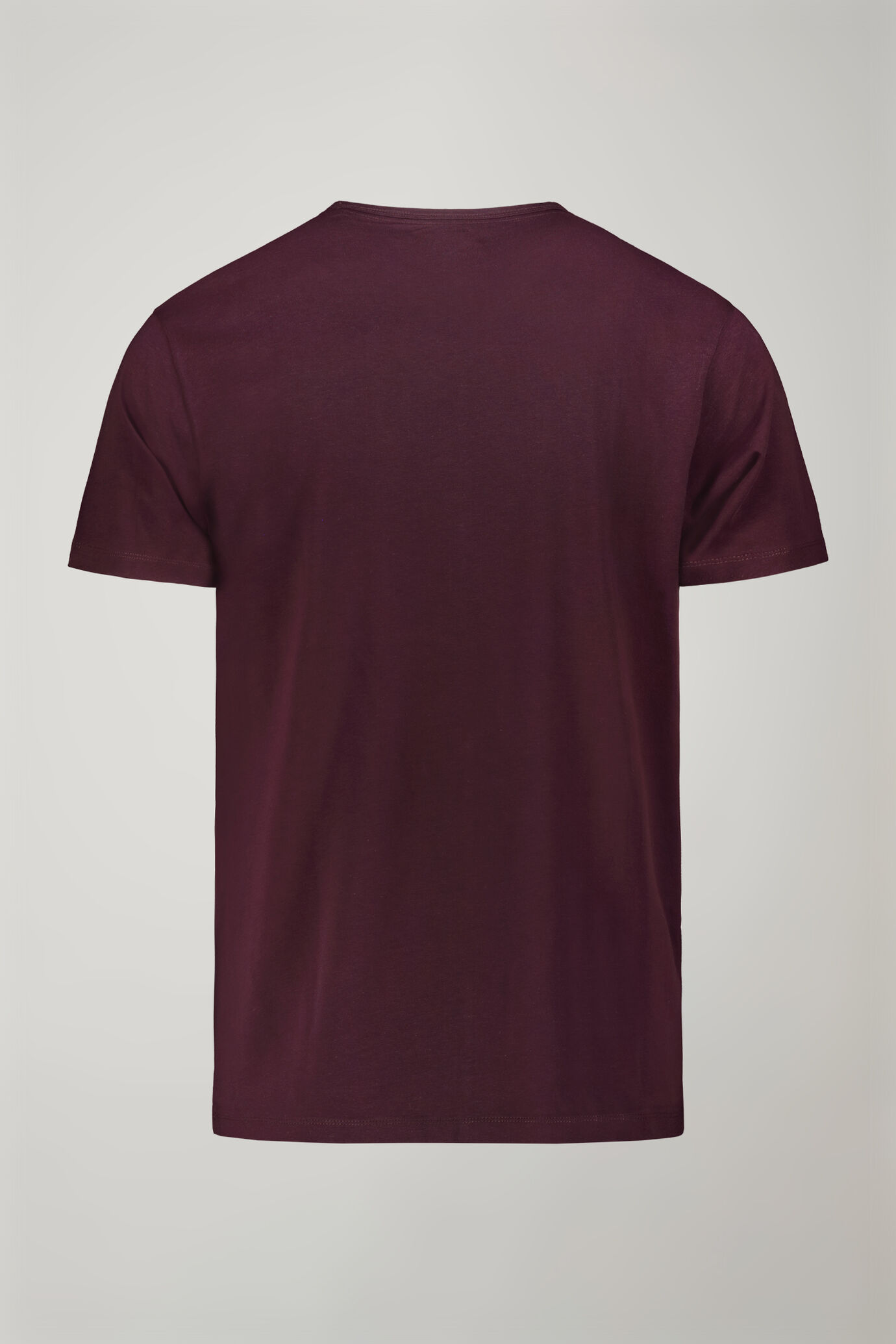 T-shirt homme col en v en 100 % coton jersey coupe régulière image number 5