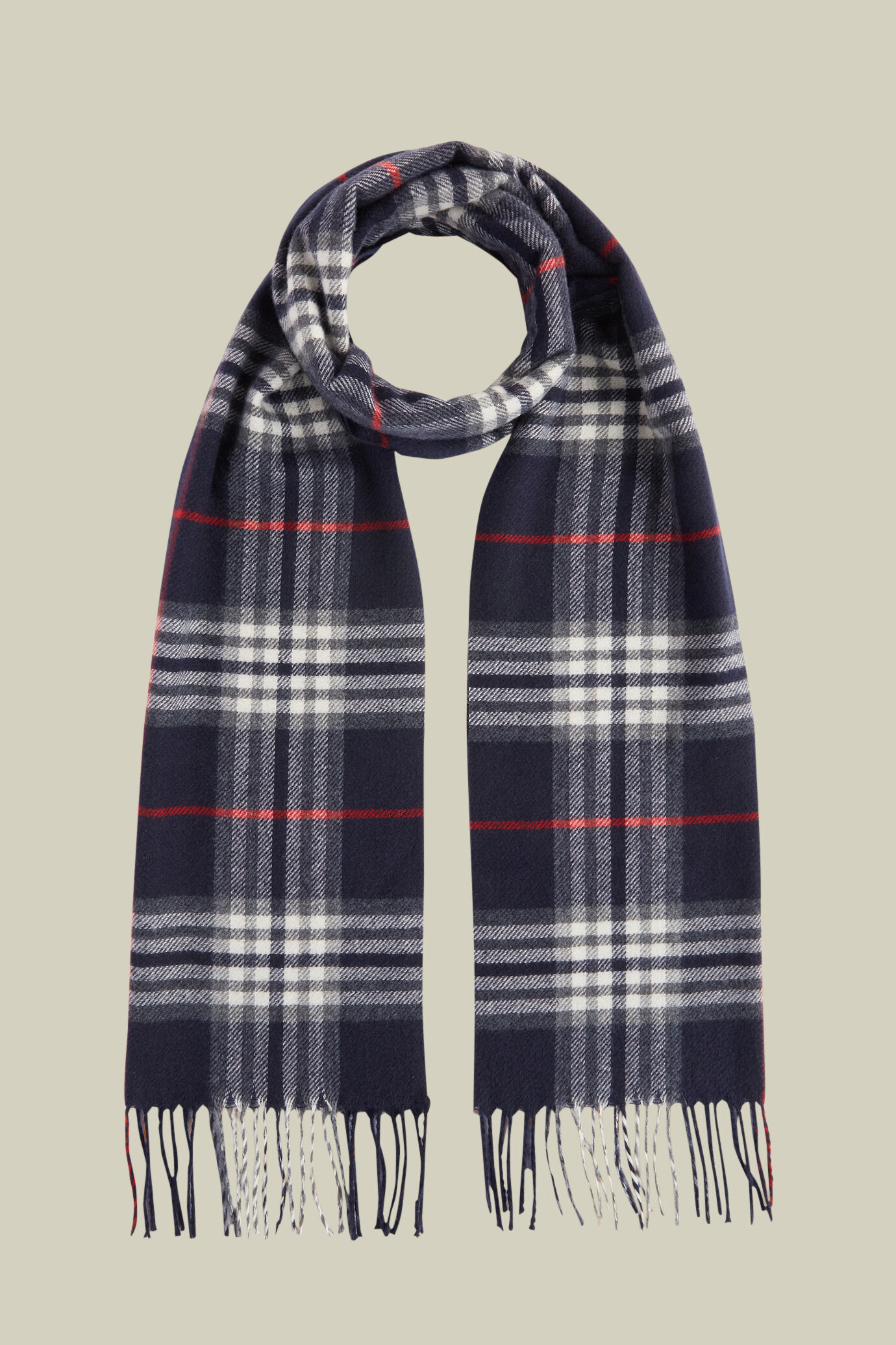 Men's checked scarf with fringes image number 0