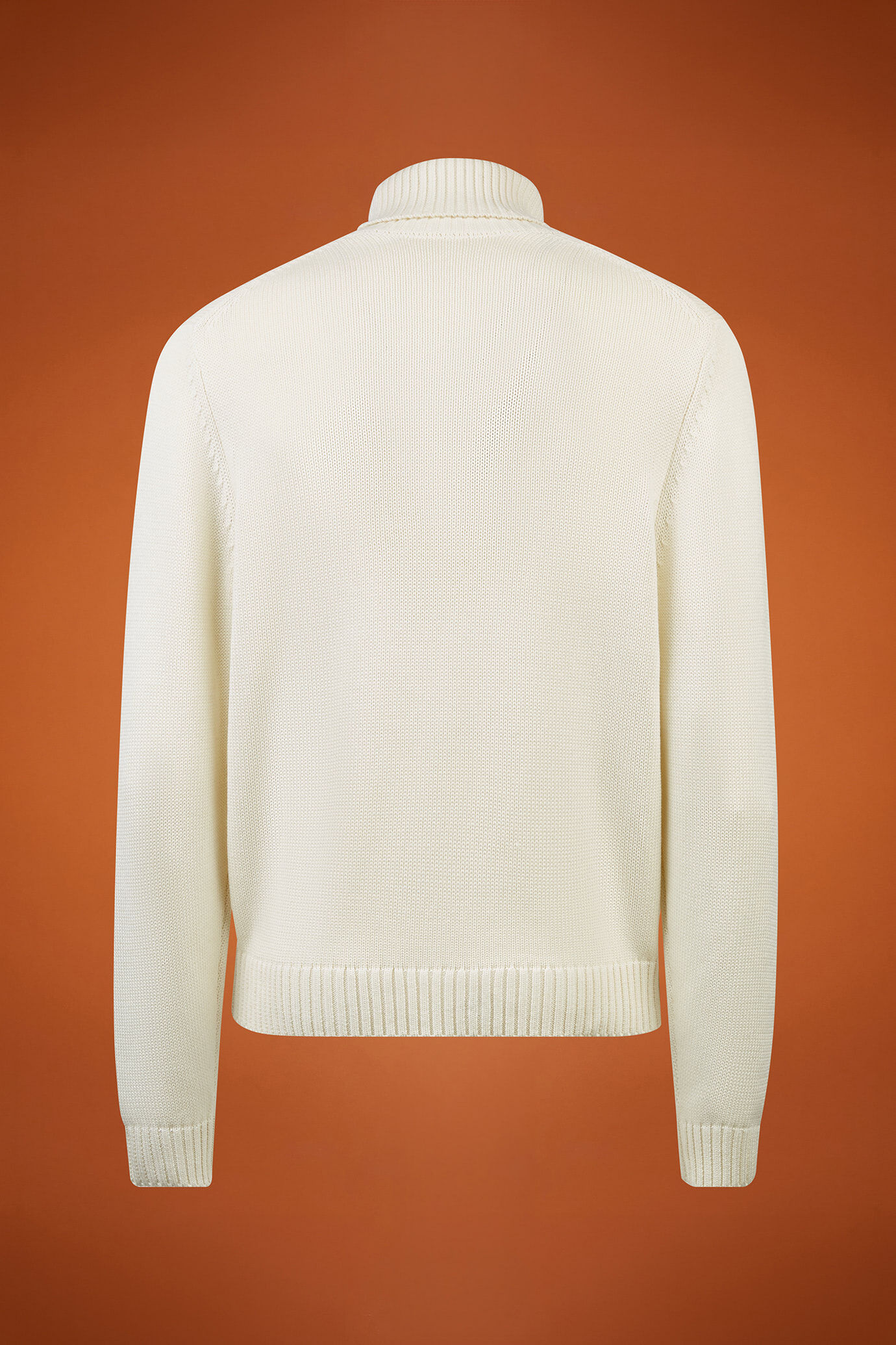 Maglia uomo dolcevita in costa inglese regular fit image number 6