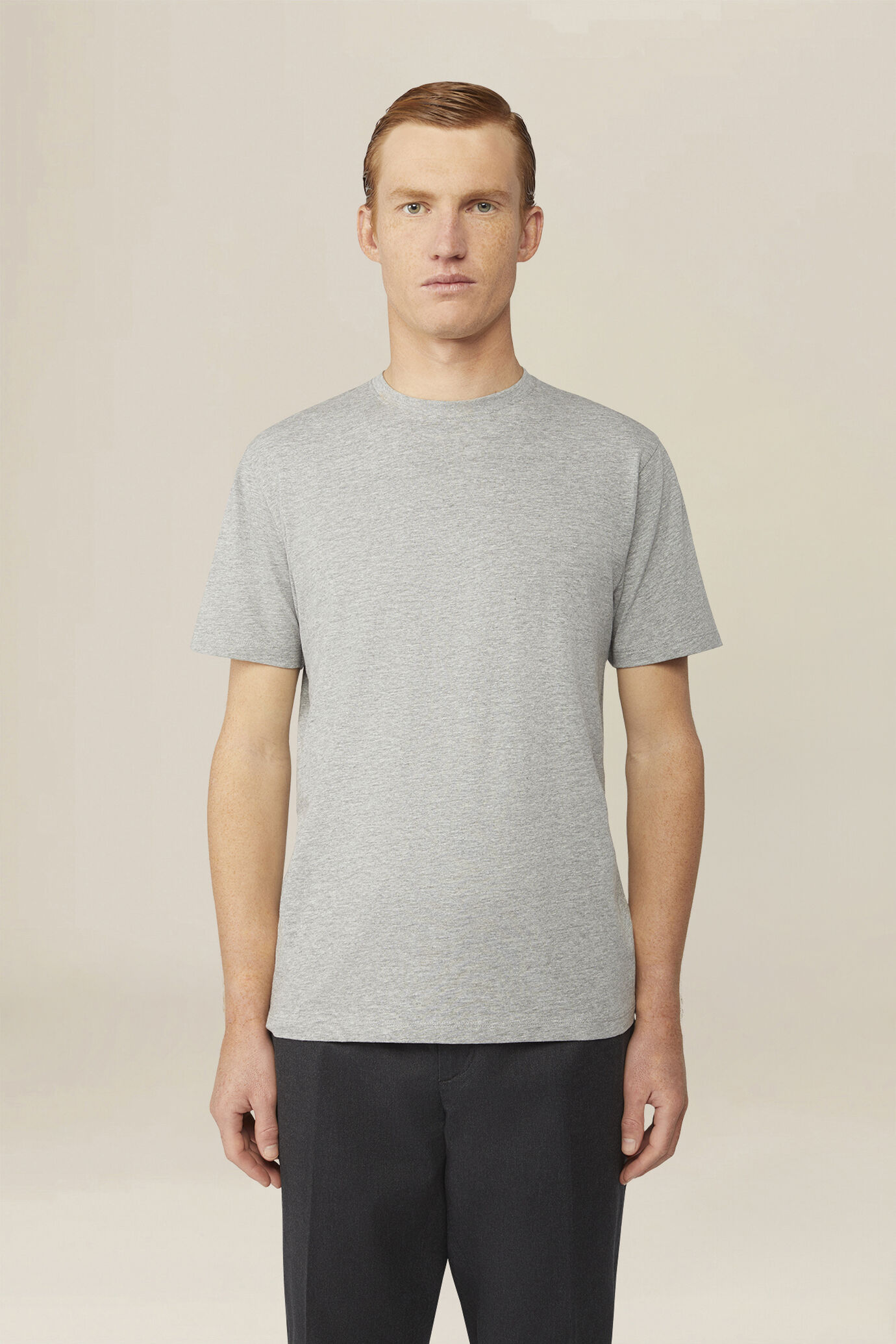 Herren-T-Shirt aus 100 % Baumwolljersey, normale Passform image number 0