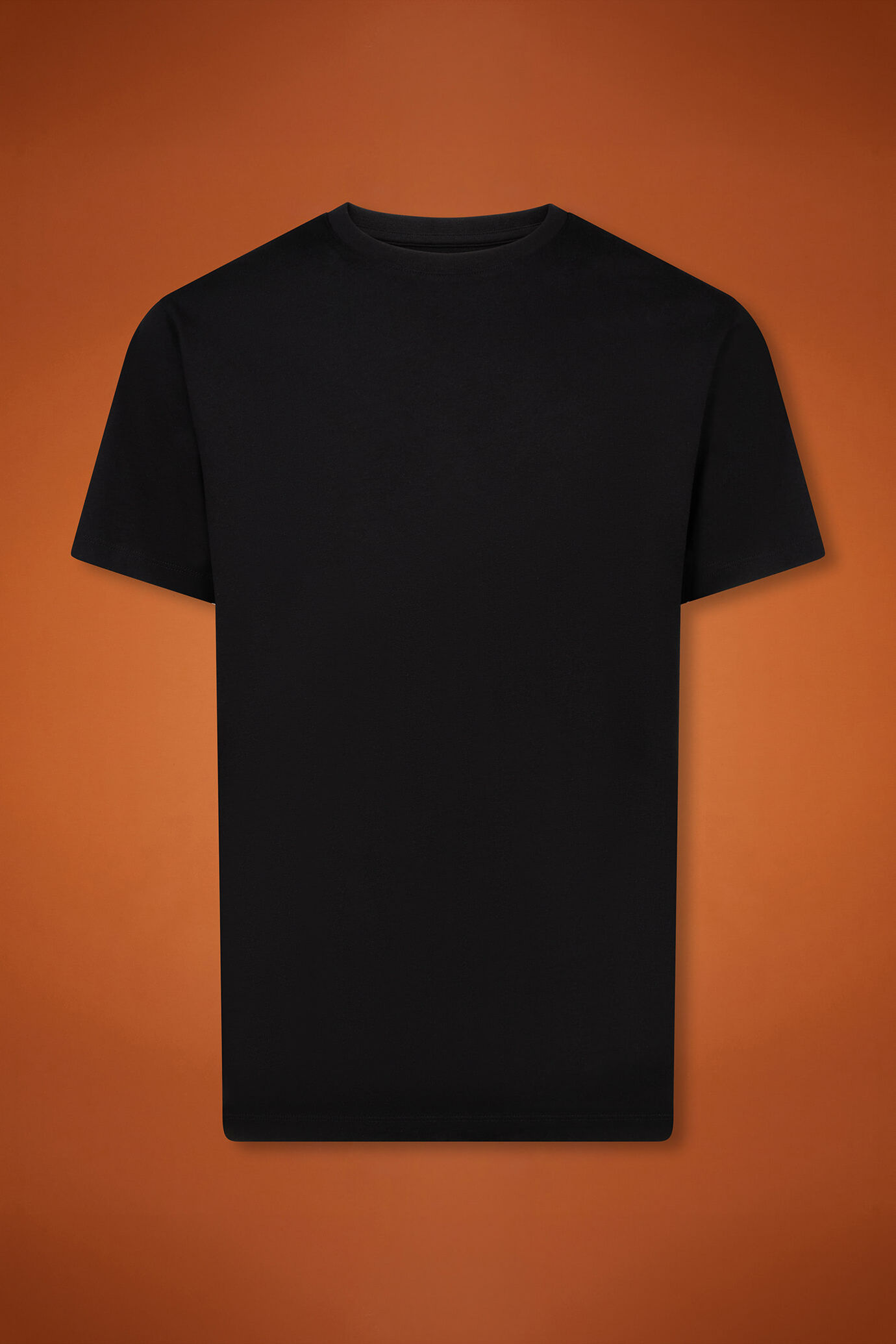 Men's 100% cotton crew neck T-shirt with short sleeves in a regular fit