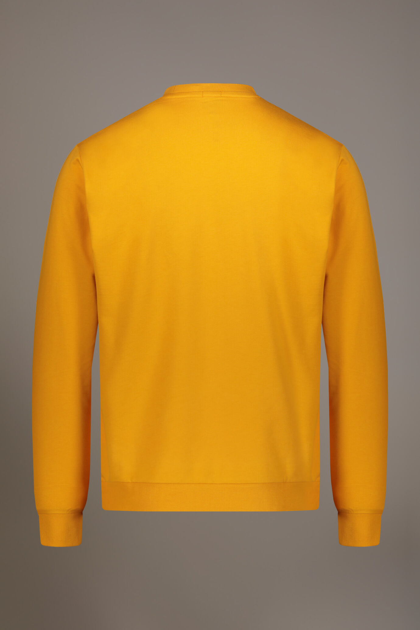 Felpa girocollo 100% cotone image number 5