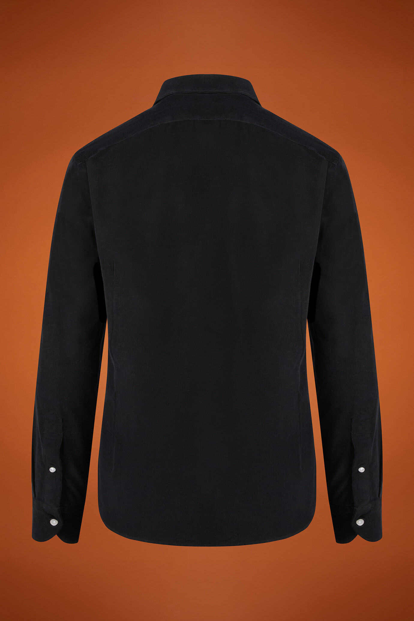 Chemise décontractée pour homme à col classique, 100% coton, tissu velours milleraies uni, coupe confort image number 5
