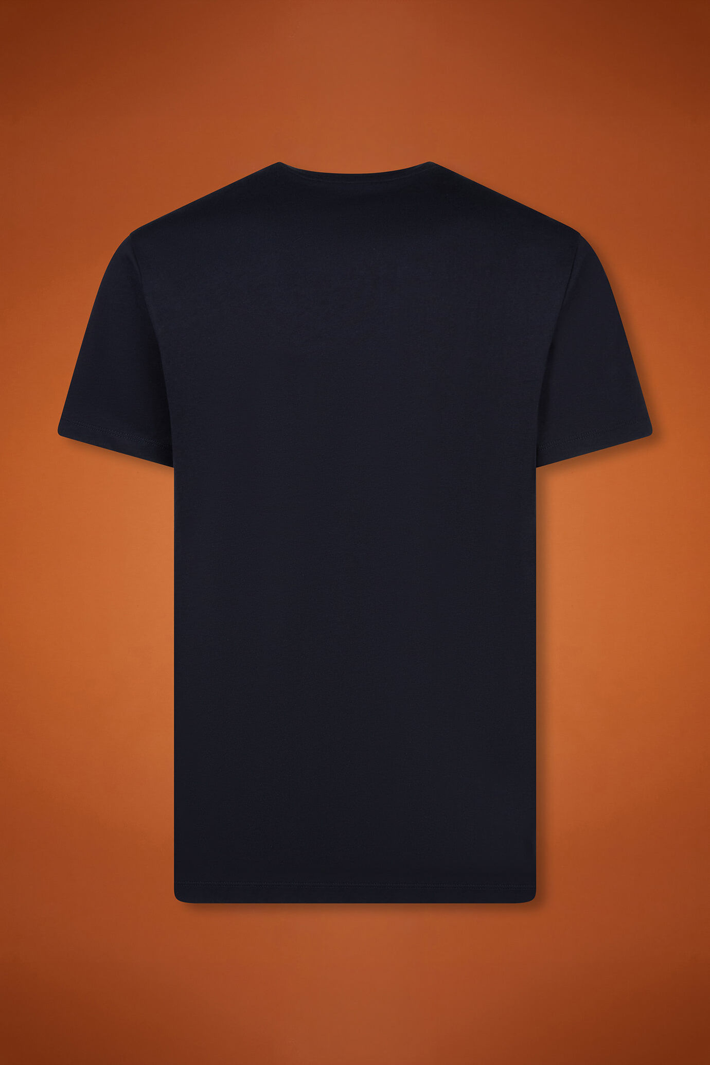 T-Shirt uomo girocollo 100% cotone con maniche corte regular fit image number 6