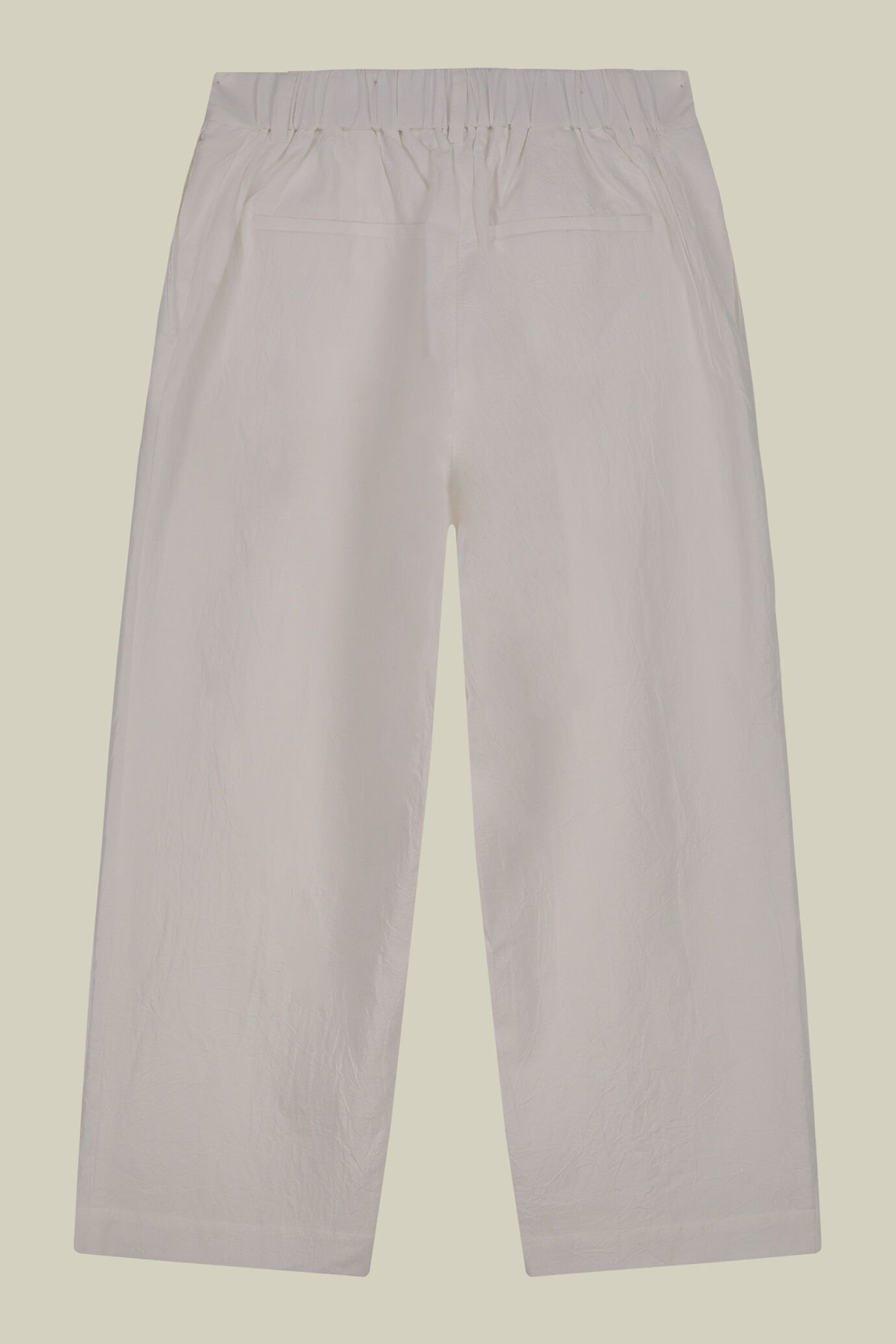 Pantalon femme à pinces en 100 % coton image number 5