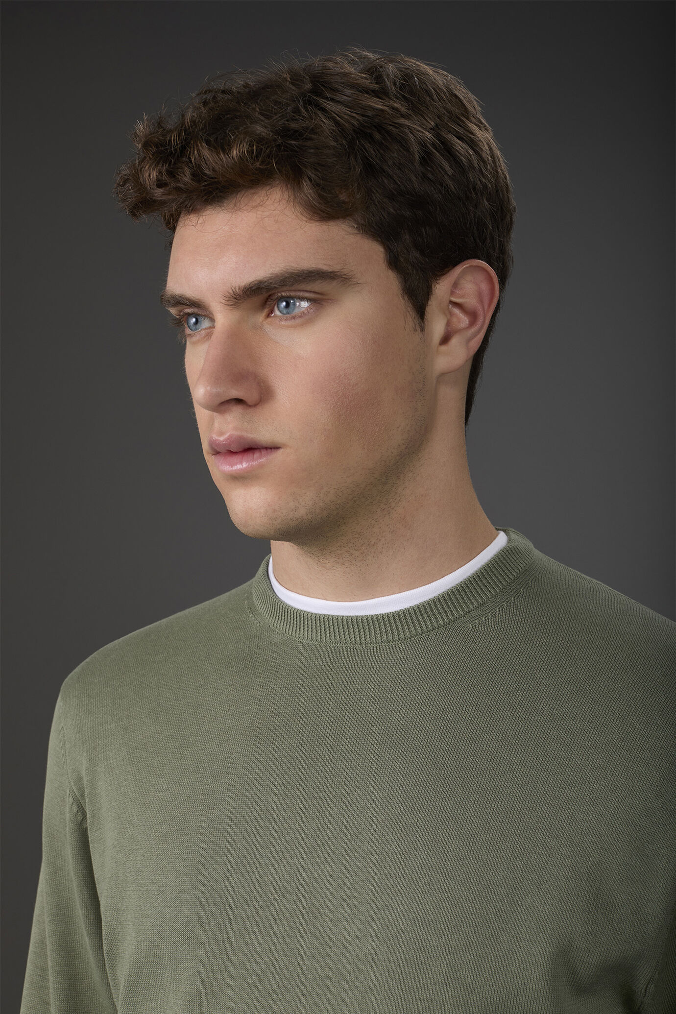 Herren-Pullover mit Rundhalsausschnitt aus 100 % bio-gewaschener Baumwolle image number 2