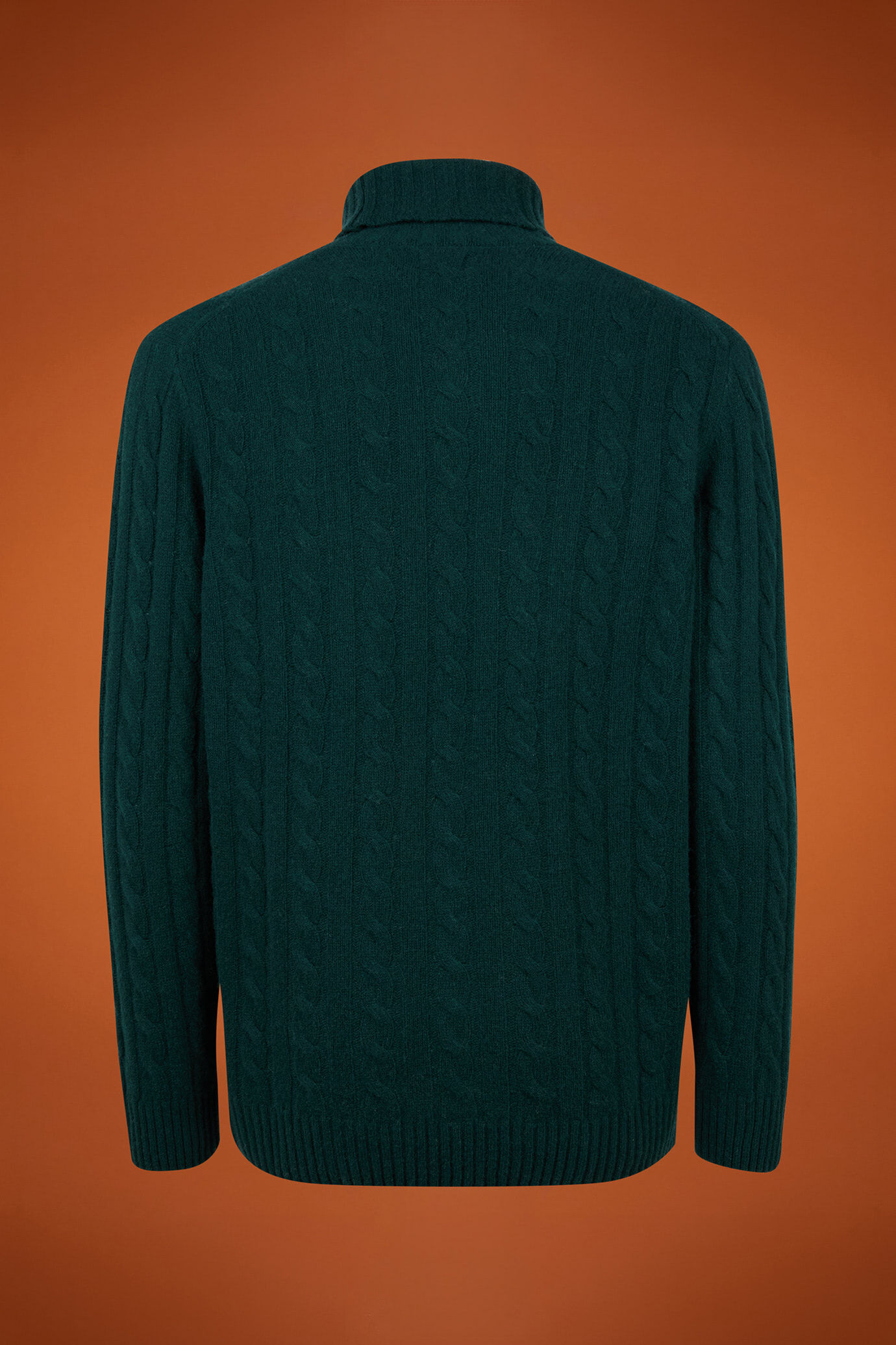 Maglia uomo collo alto misto lana lambswool regular fit image number 5
