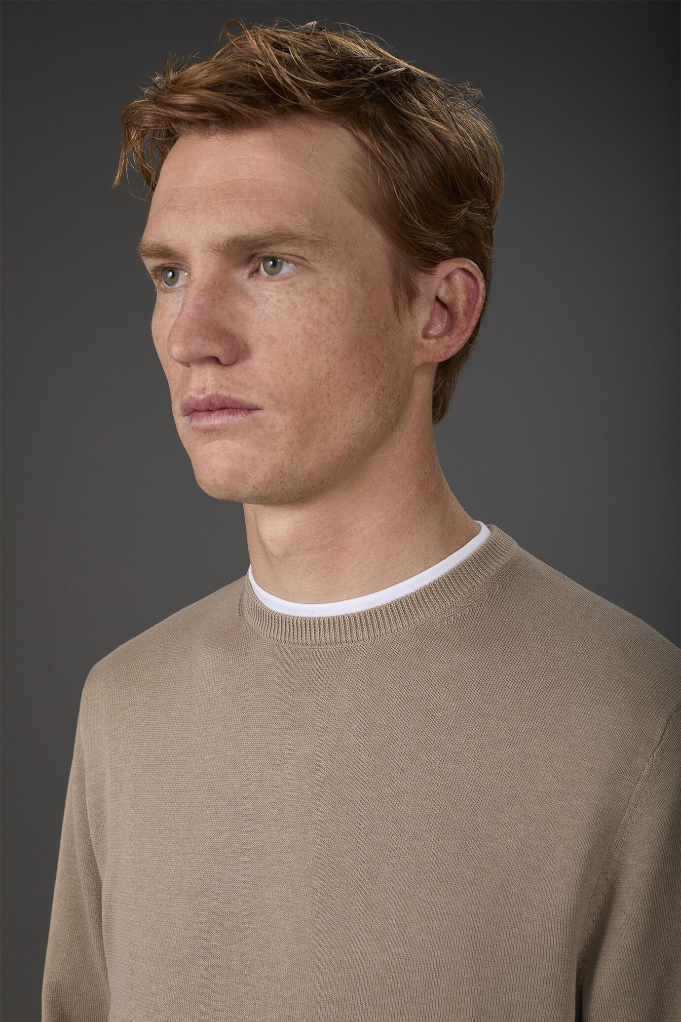 Herren-Pullover mit Rundhalsausschnitt aus 100 % bio-gewaschener Baumwolle image number 2