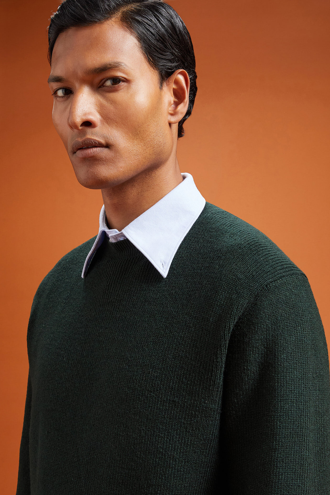 Pull homme, col rond, en côtes anglaises, coupe classique image number 2