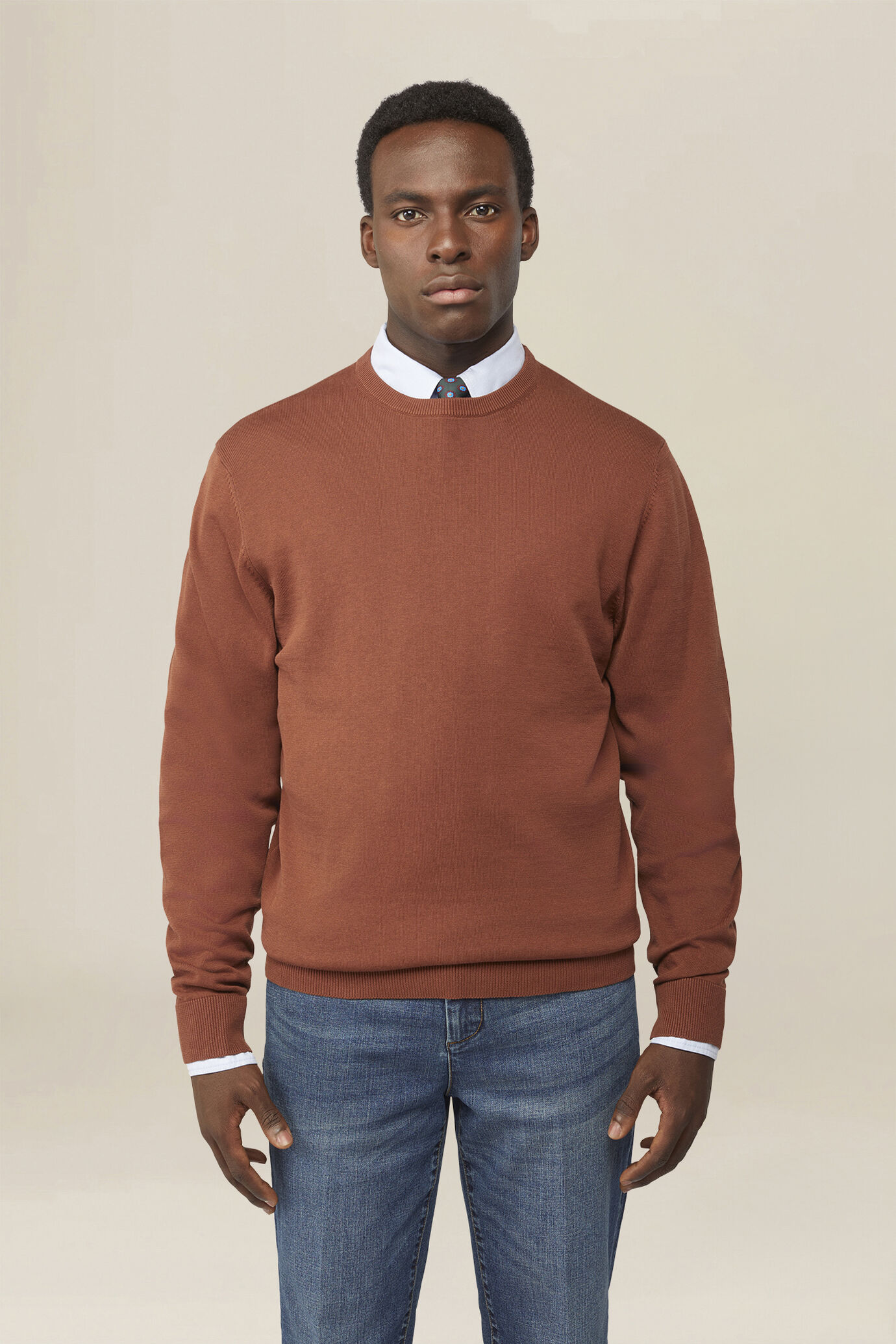 Men's crew neck jumper in 100% cotton image number 0